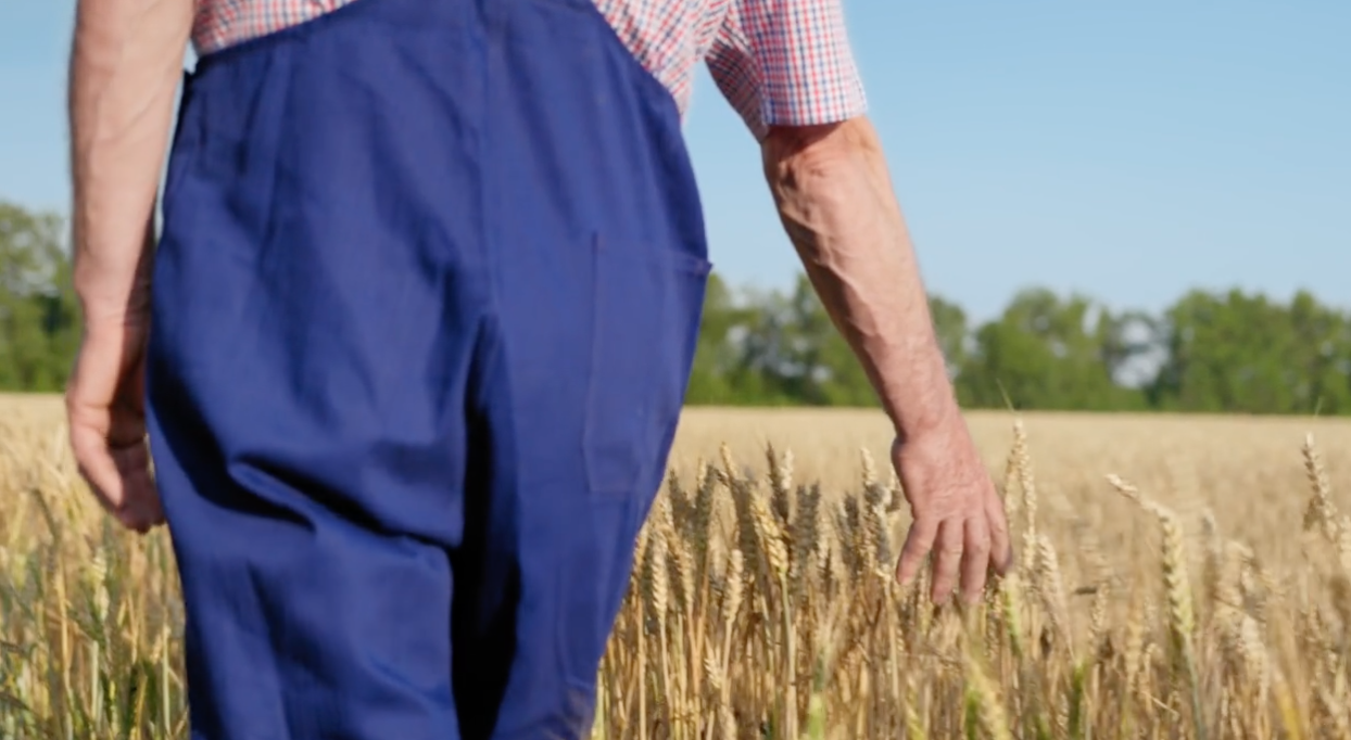 The Sense of Touch - S116