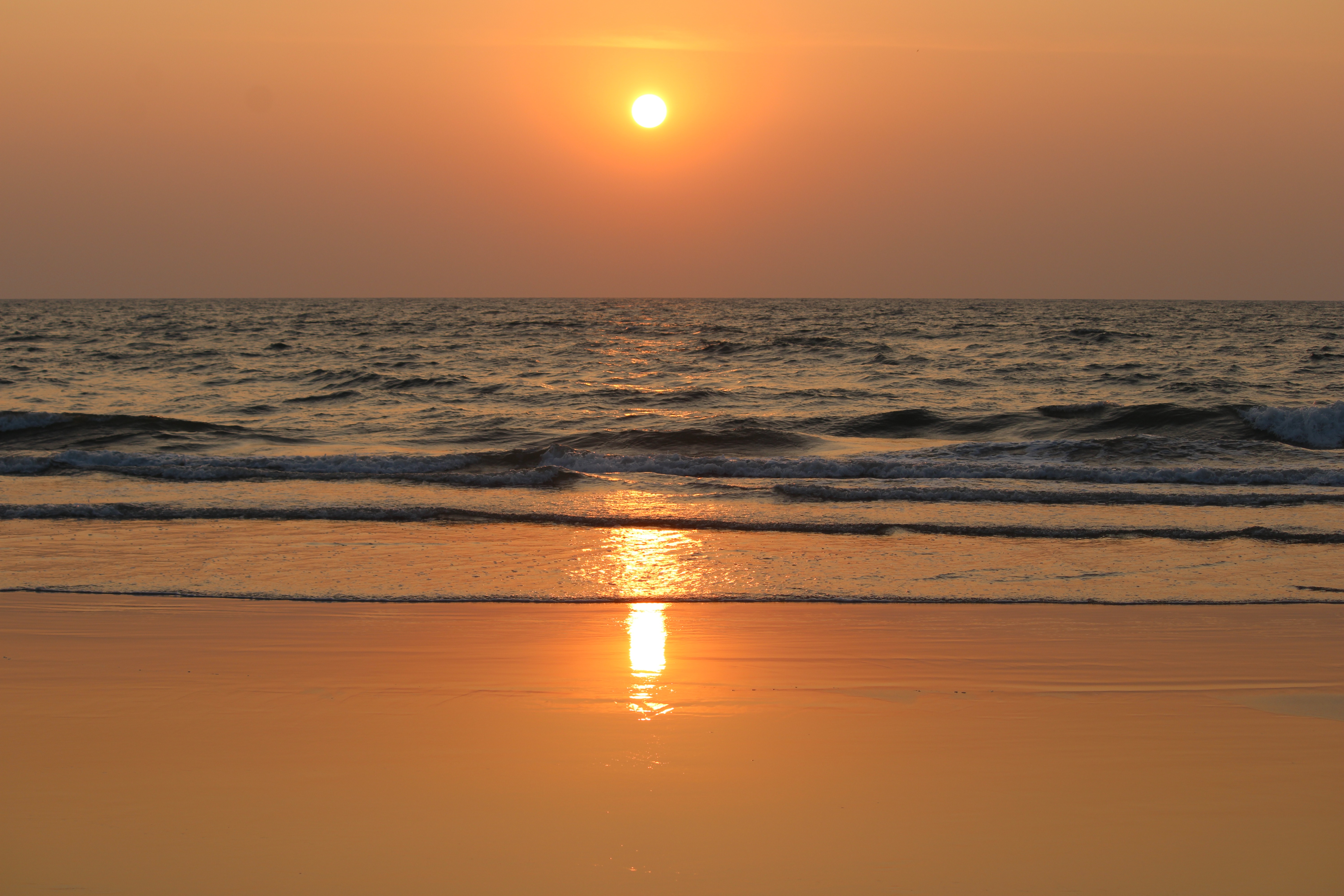 Sunset on the Ocean & Night Summer Skies - S2026