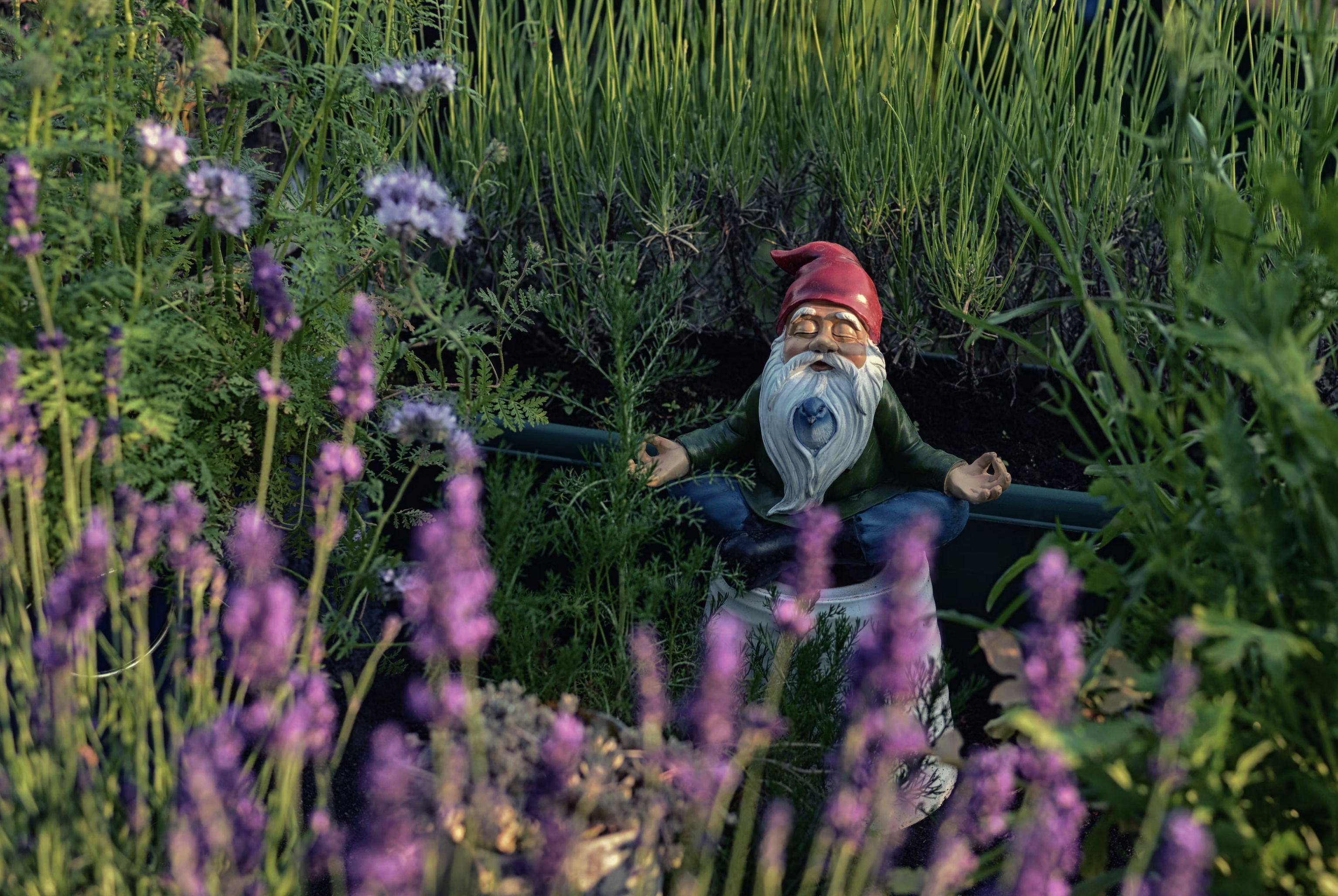 Navigate Content through our Wellness Series: Support, Relief, and Well-being