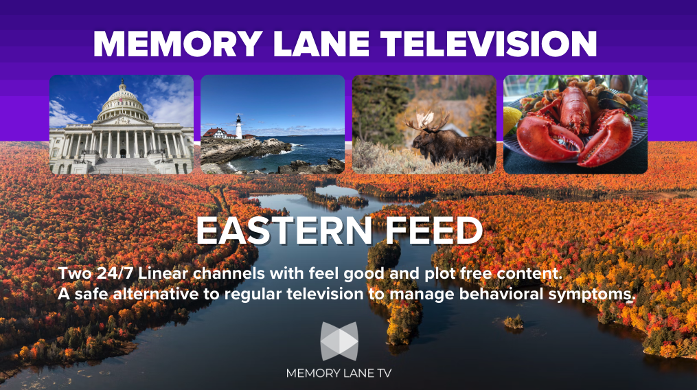 MLTV - Eastern FEED