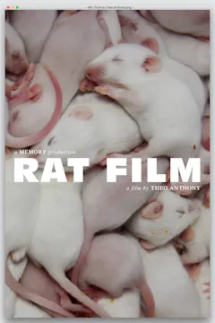 RAT FILM