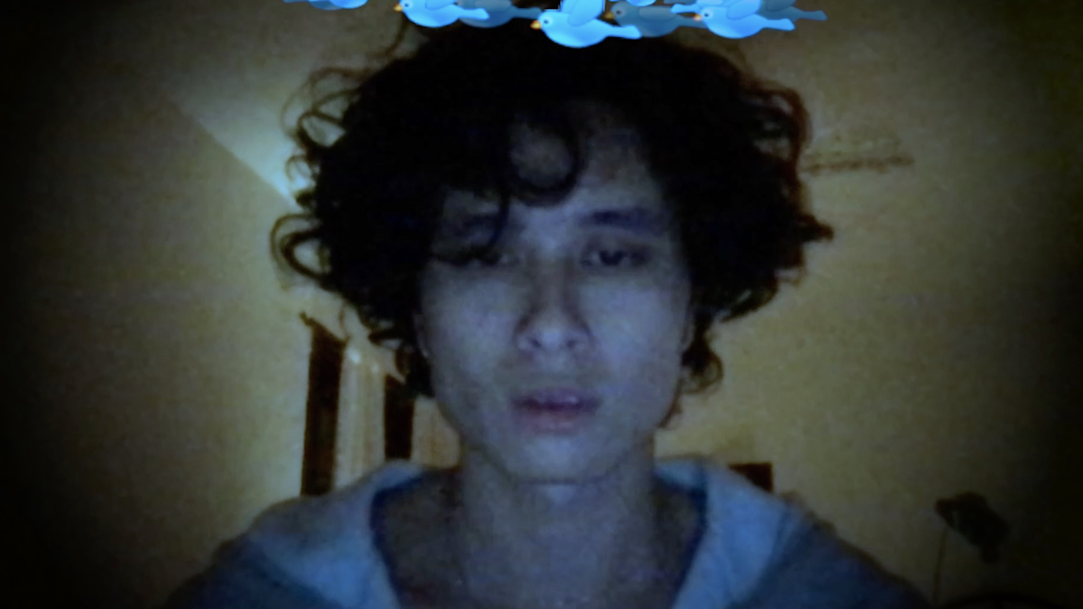 Debut, or, Objects of the Field of Debris as ...