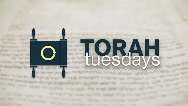 Torah Tuesdays with Monte Judah | VaY...