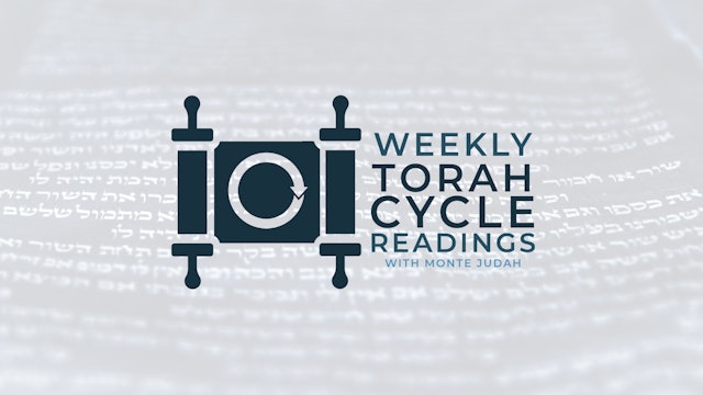 Episode 3 | Weekly Torah