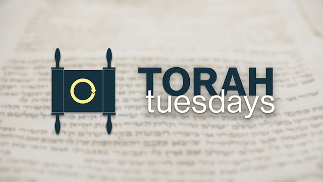 Torah Tuesdays with Monte Judah | VaYetze