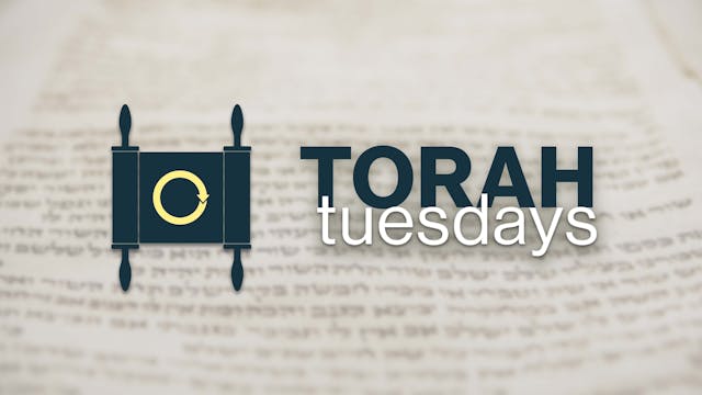Torah Tuesdays with Monte Judah | VaY...