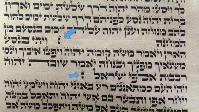 the Resurrection prophesied in the Torah Scrolls