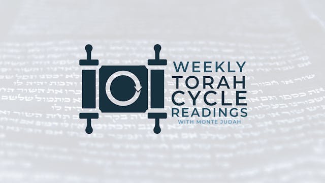 Episode 4 | Weekly Torah