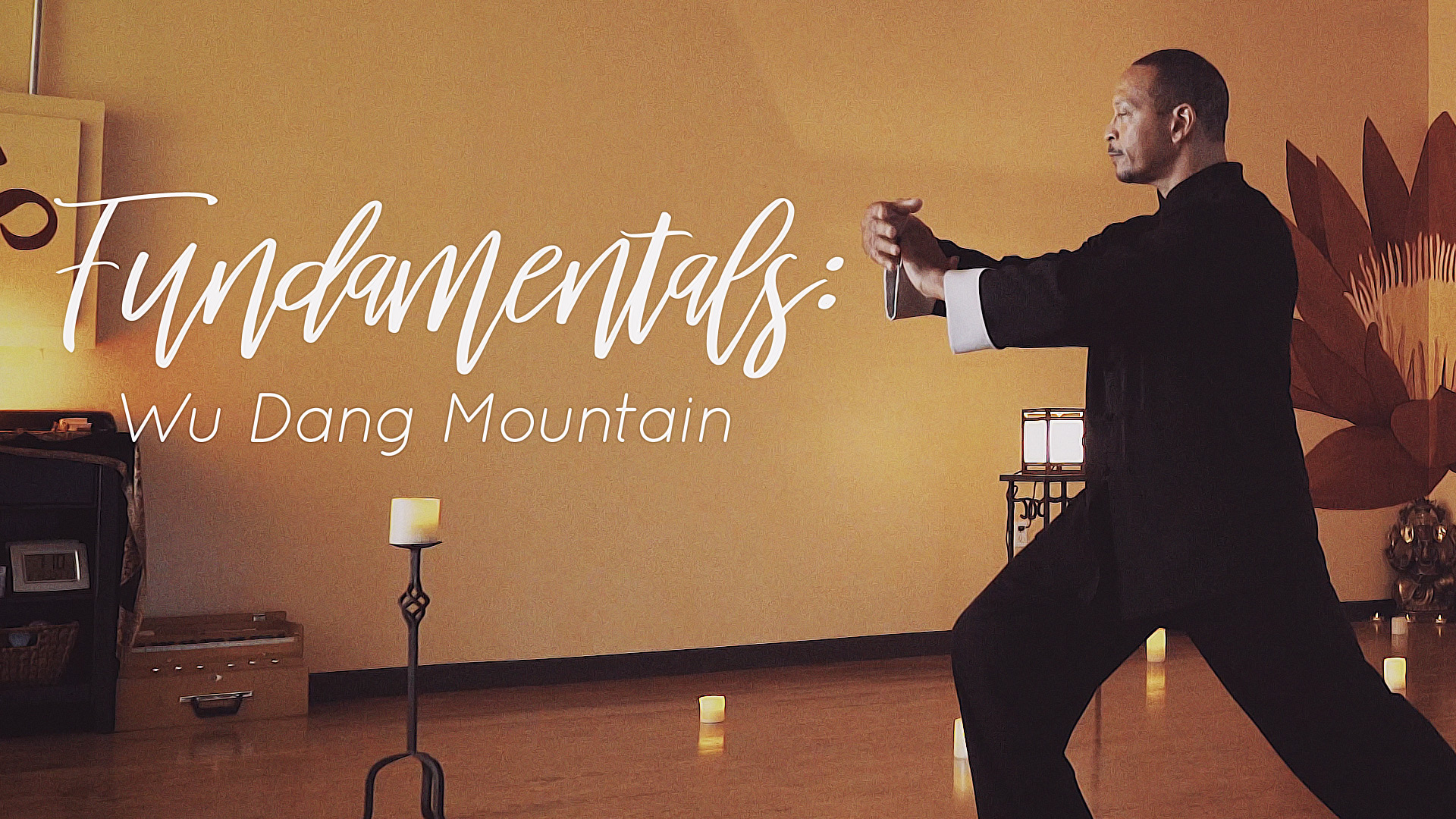 Fundamentals: Wu Dang Mountain  18 Form Tai Chi