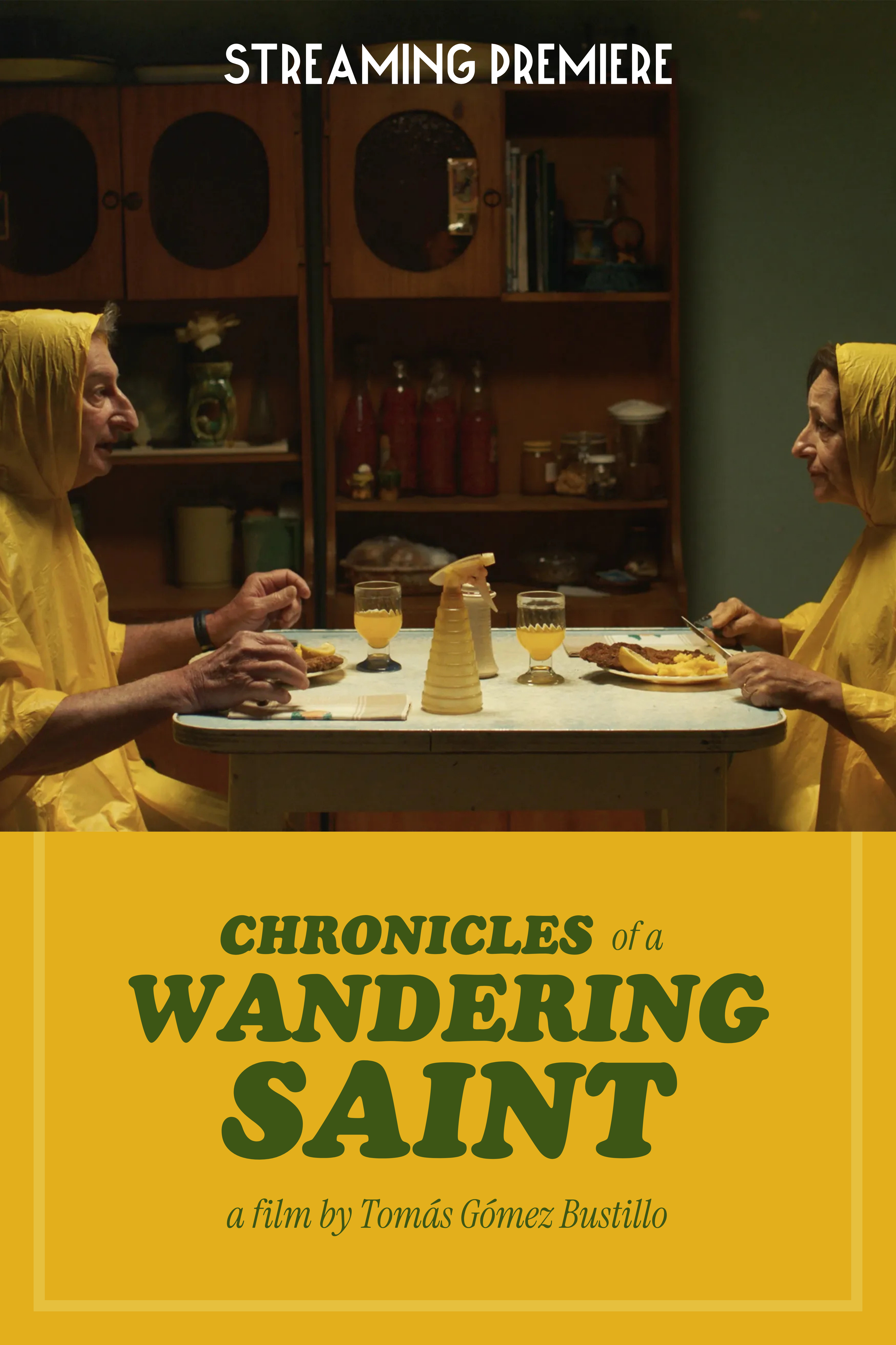 Chronicles of a Wandering Saint