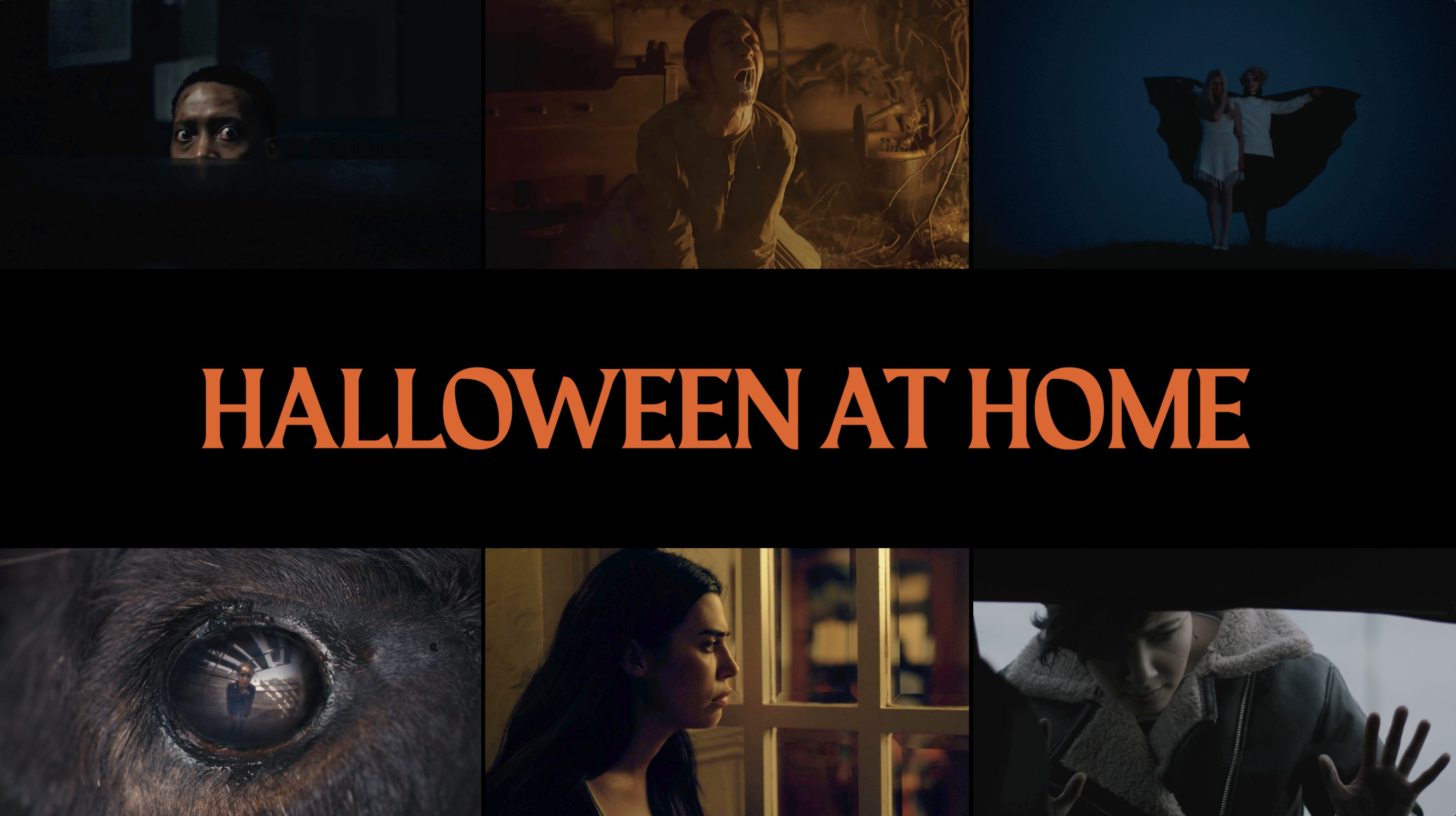Halloween At Home