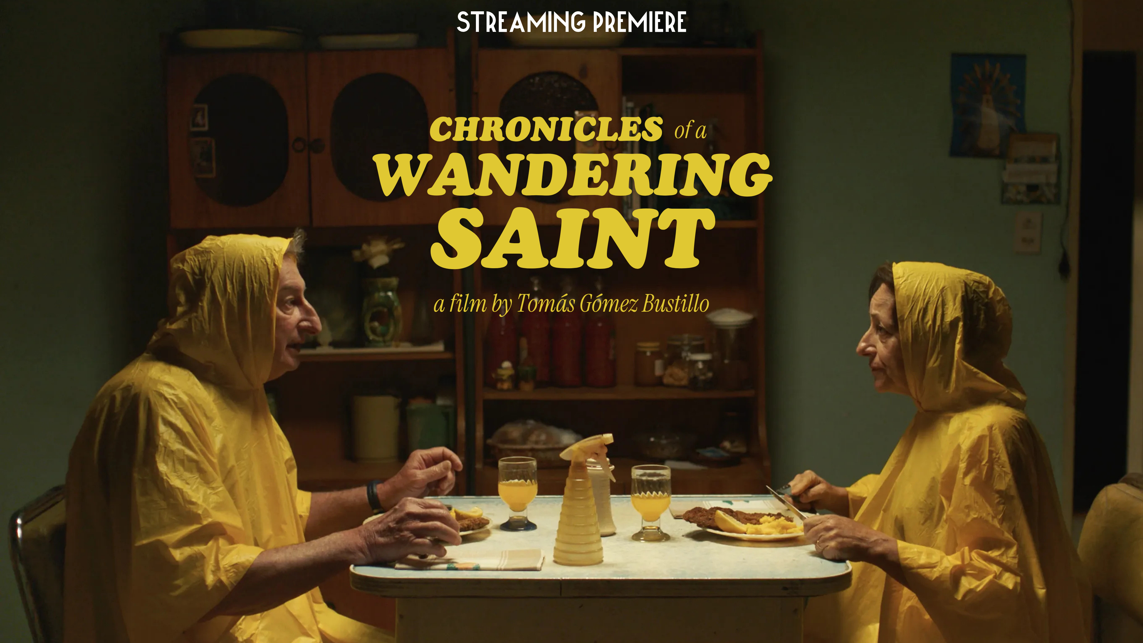 Chronicles of a Wandering Saint