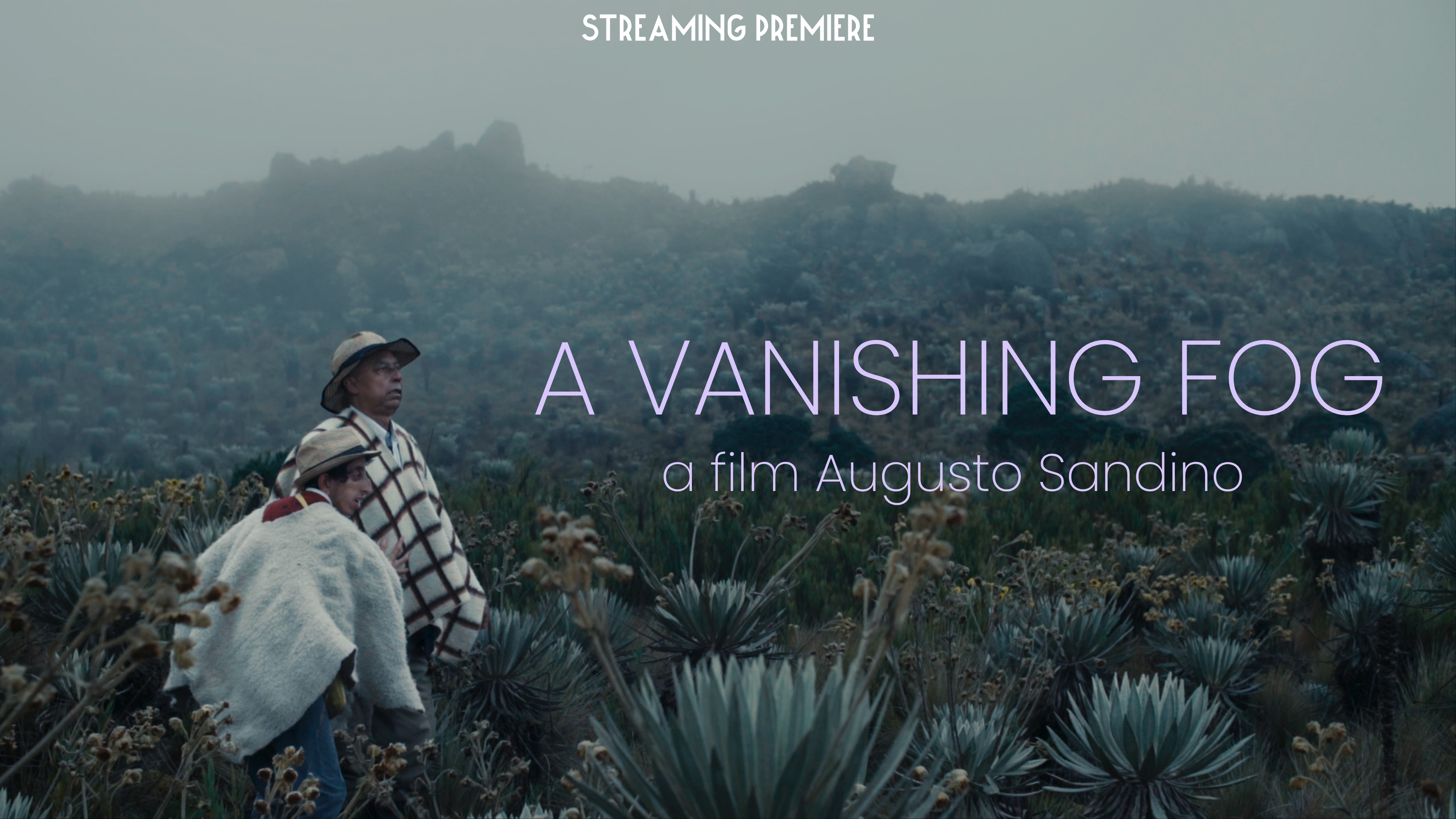 A Vanishing Fog