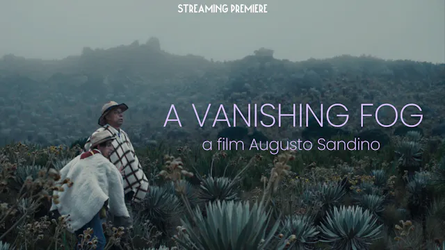 A Vanishing Fog