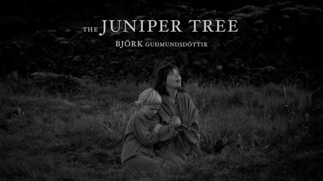 The Juniper Tree