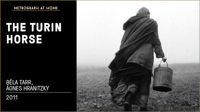 The Turin Horse