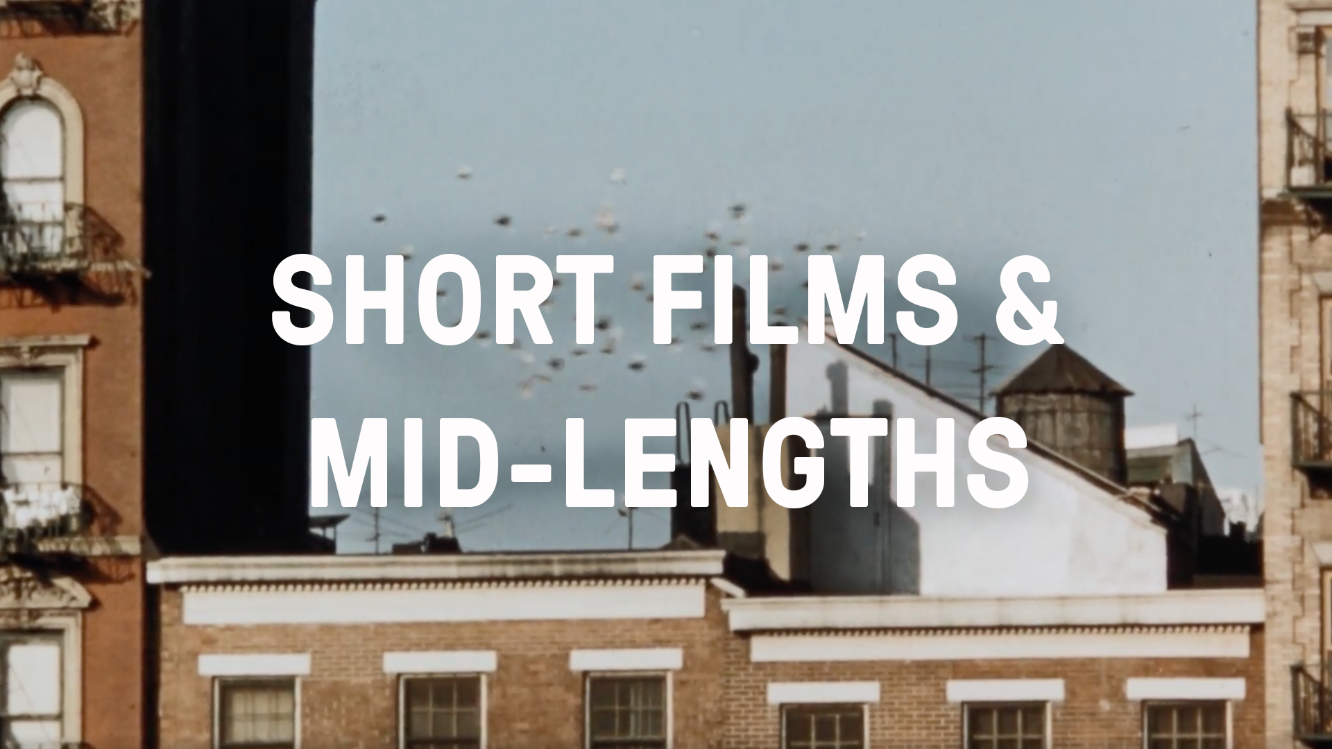 Short Films and Mid-Lengths