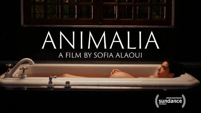 Animalia