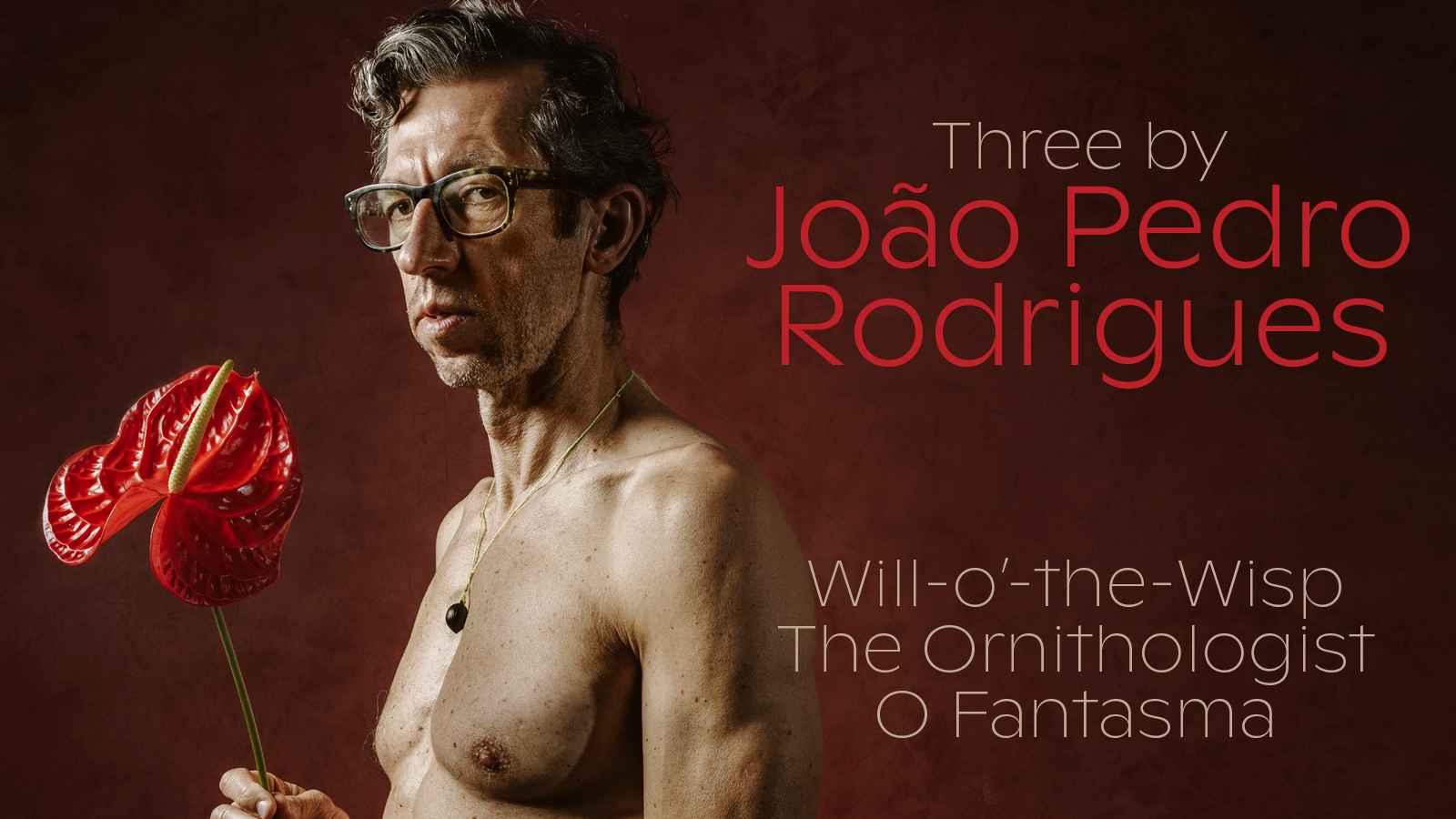 Three by João Pedro Rodrigues