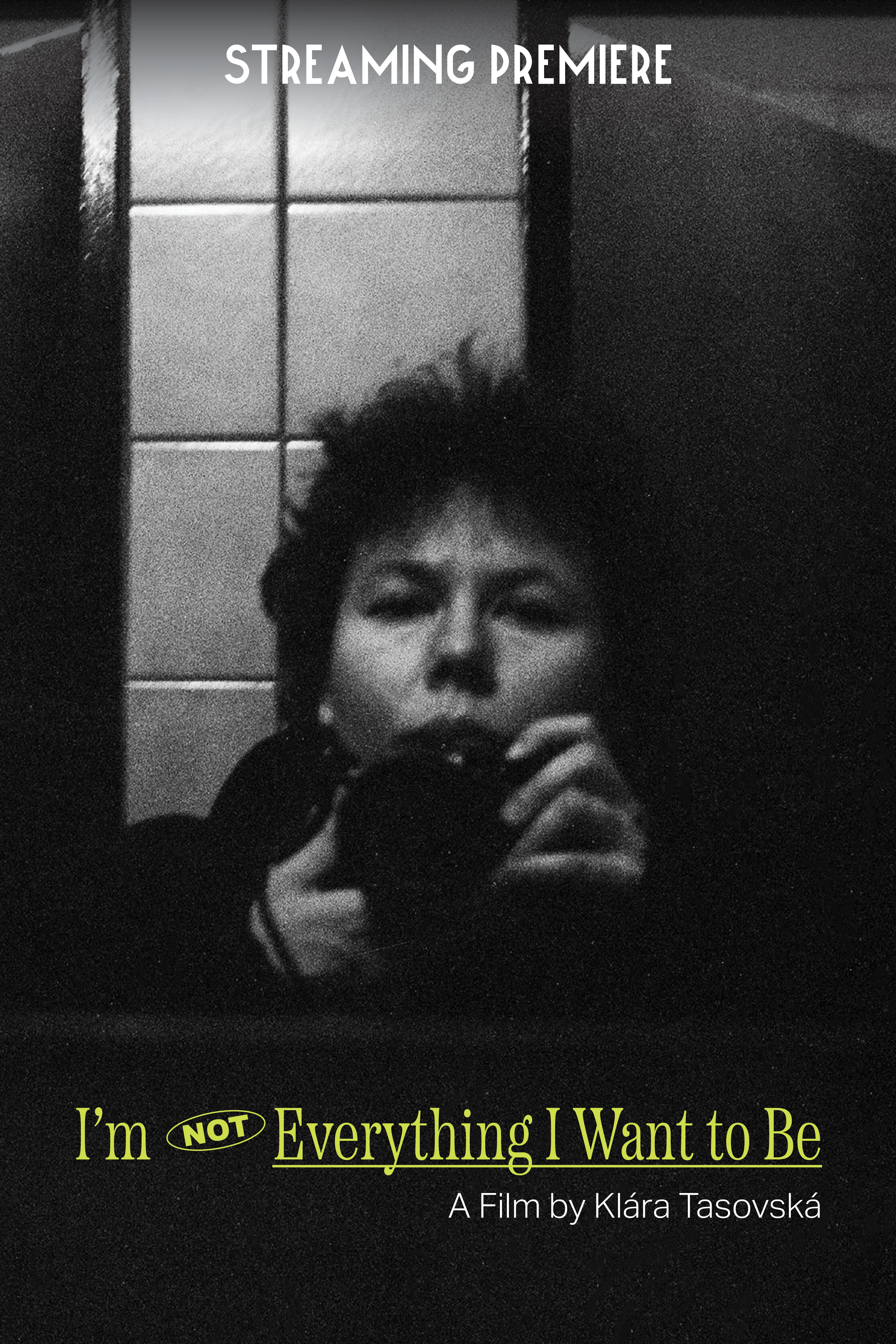 I'm Not Everything I Want to Be