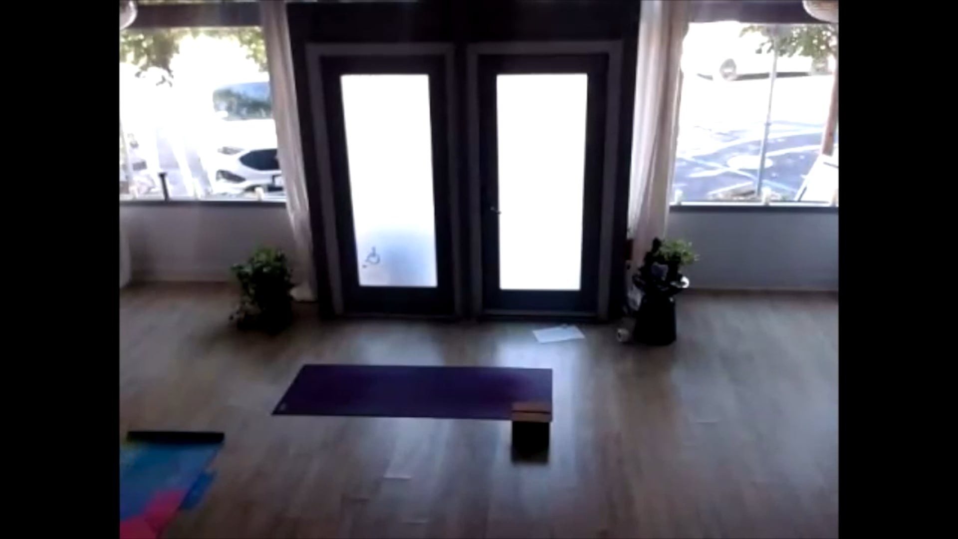 Metta Yoga Video