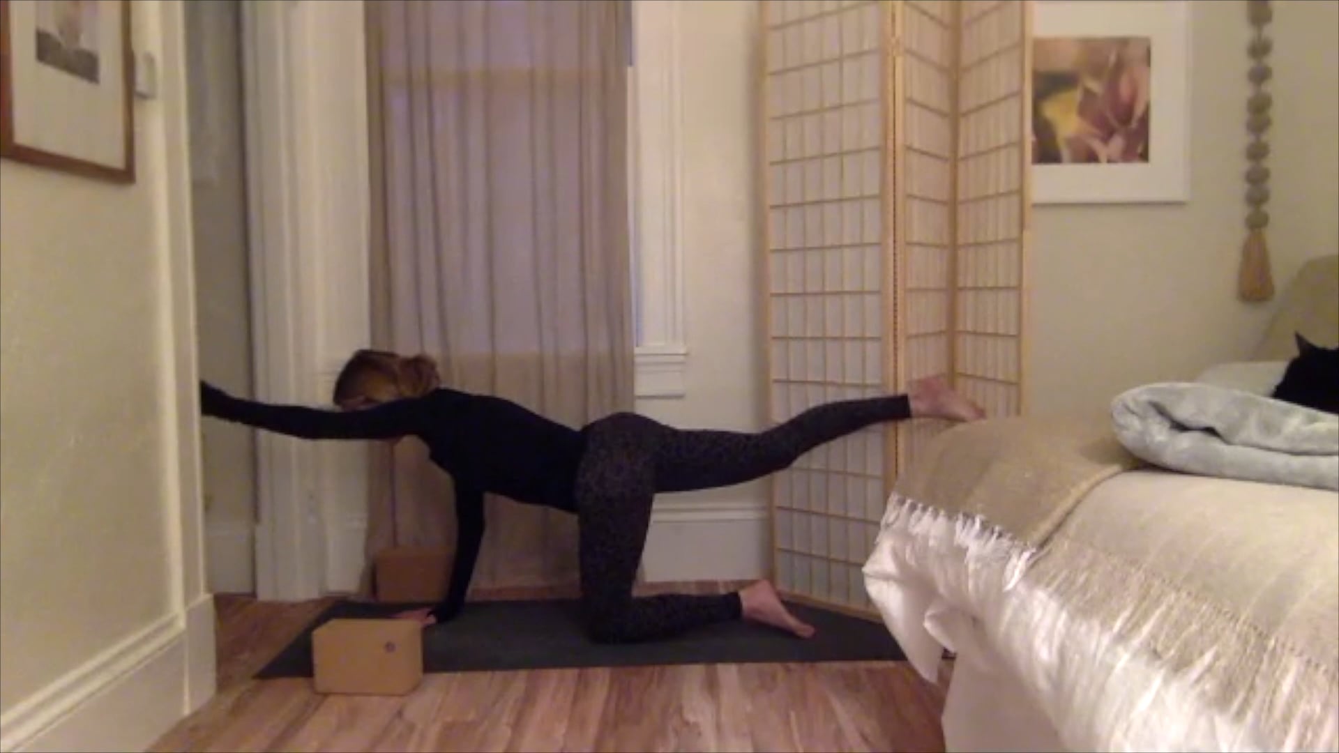 Stephanie Phelan Fiery Flow - 04