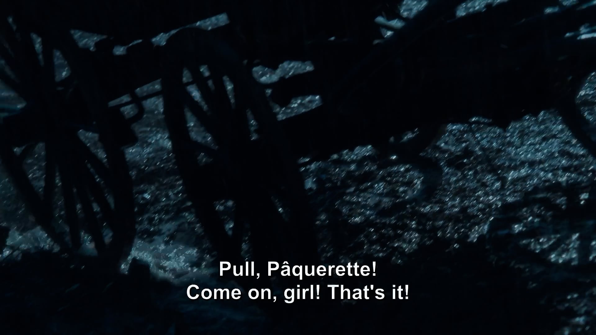 Seeds of Change - E5