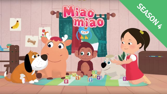 Miaomiao - Season 4  - All Episodes