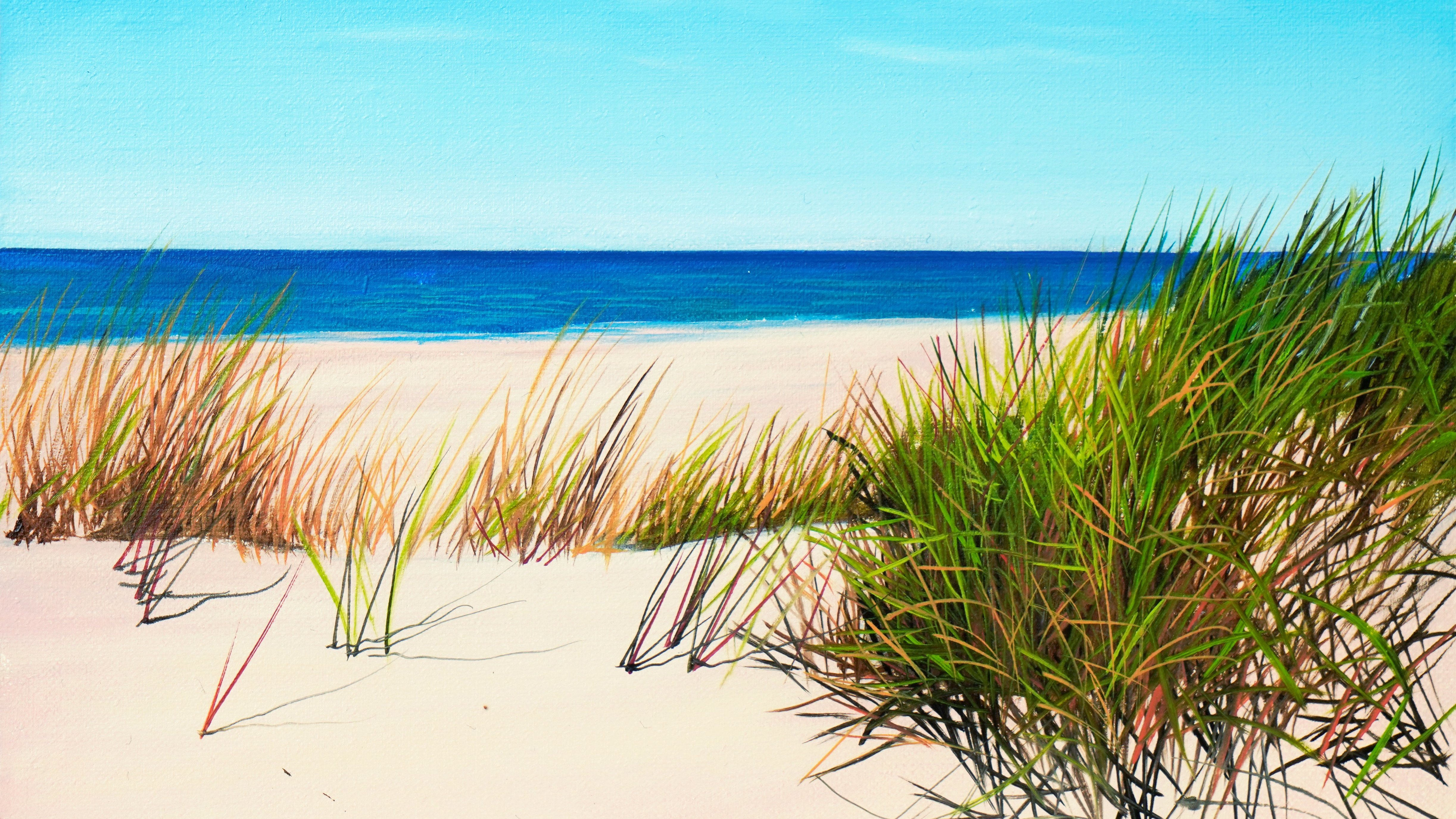 Beach - Beginner Level 2