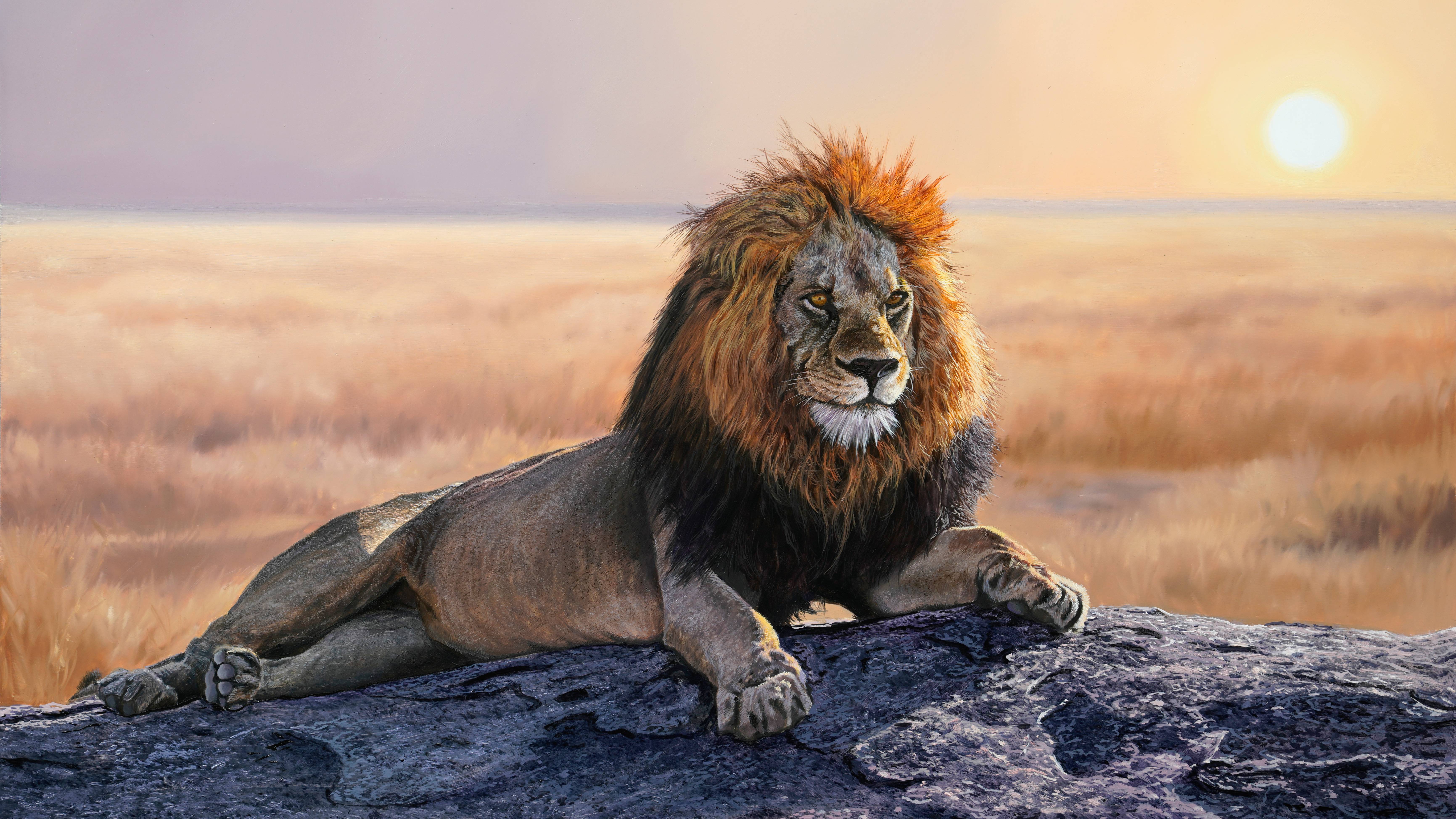 The Lion - Advanced Level 3