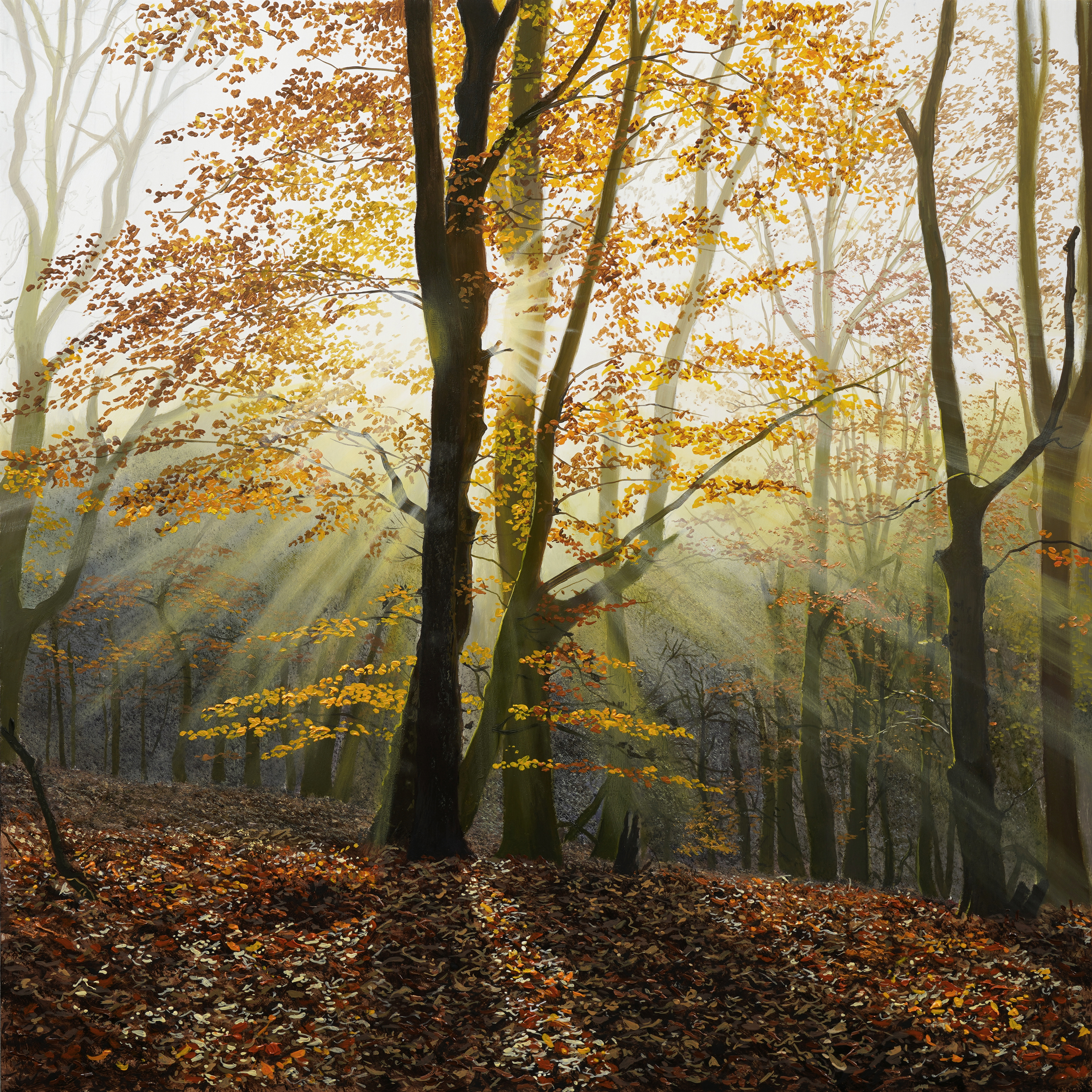 Autumn Rays - Advanced Level 1