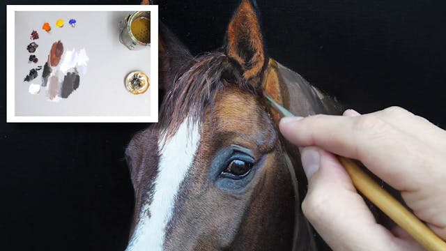 How To Paint a Horse Part 10