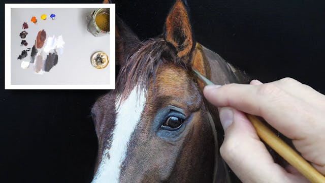 How To Paint A Horse Part 9 How To Paint A Horse Michael James