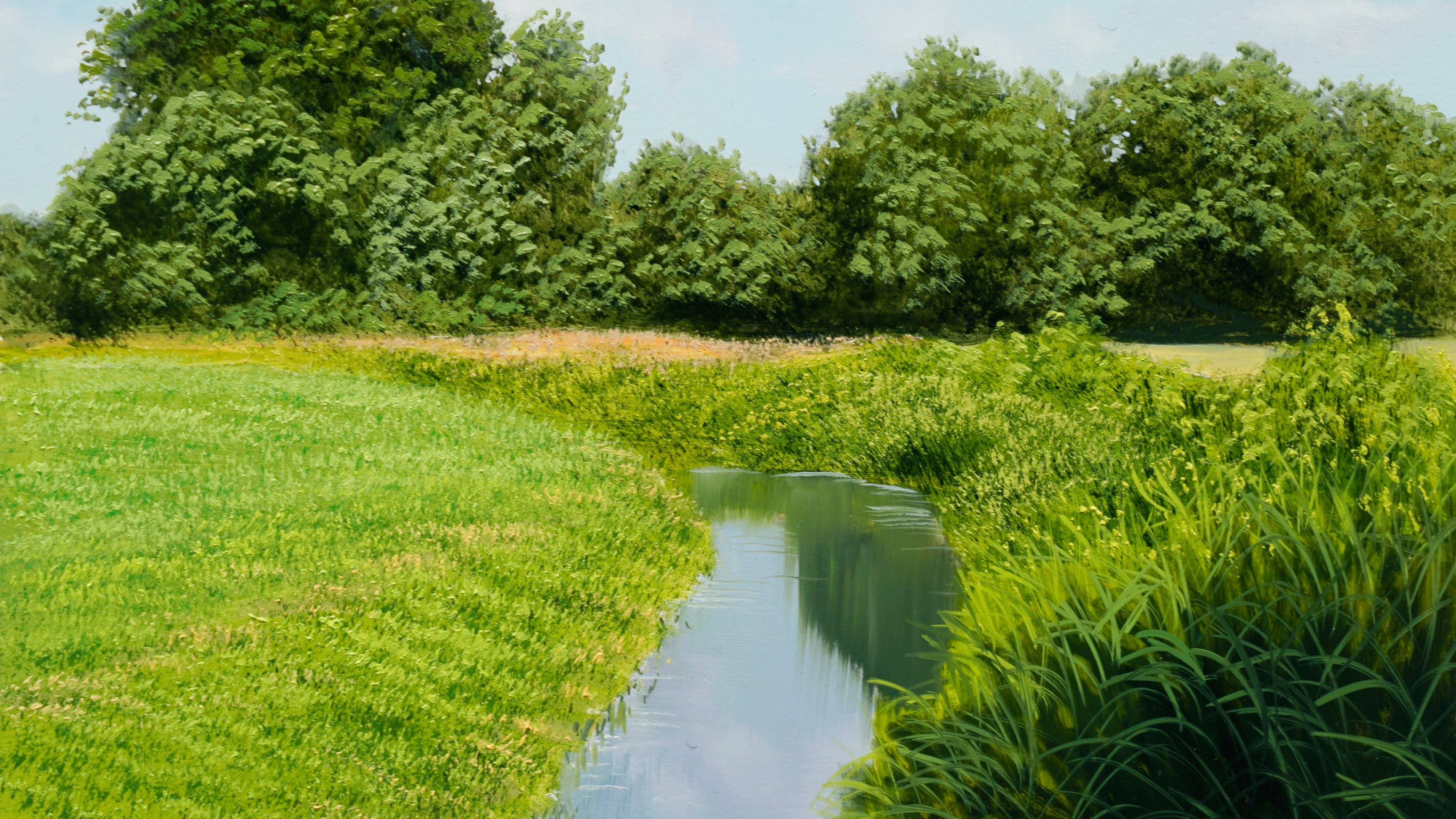 River Meander Beginner Level 2 Michael James Smith Official Art