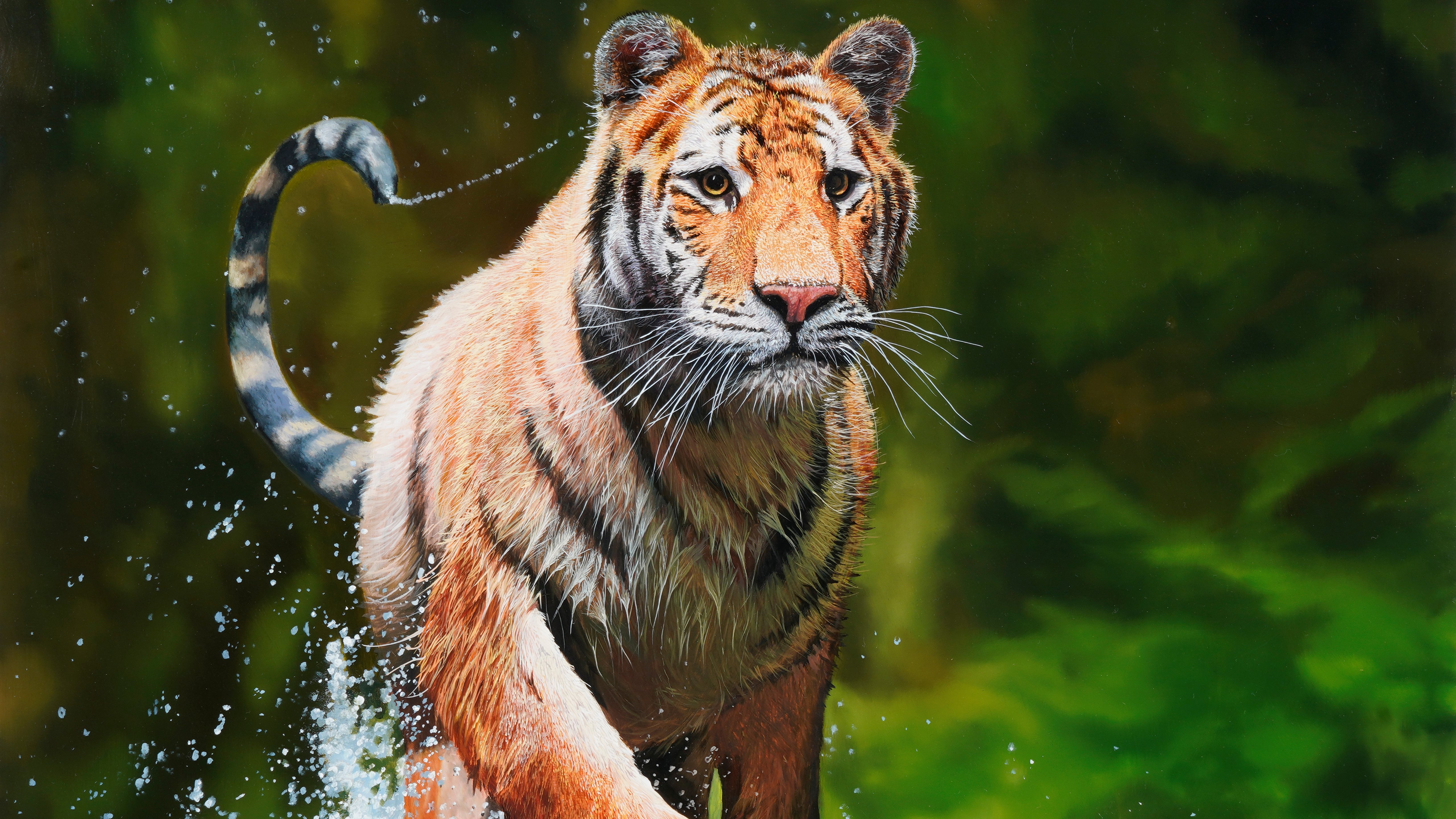 King of the Forest - Advanced Level 3