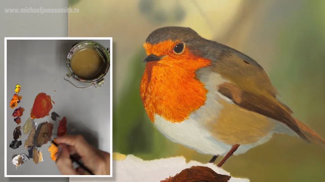 How To Paint a Robin Part 5