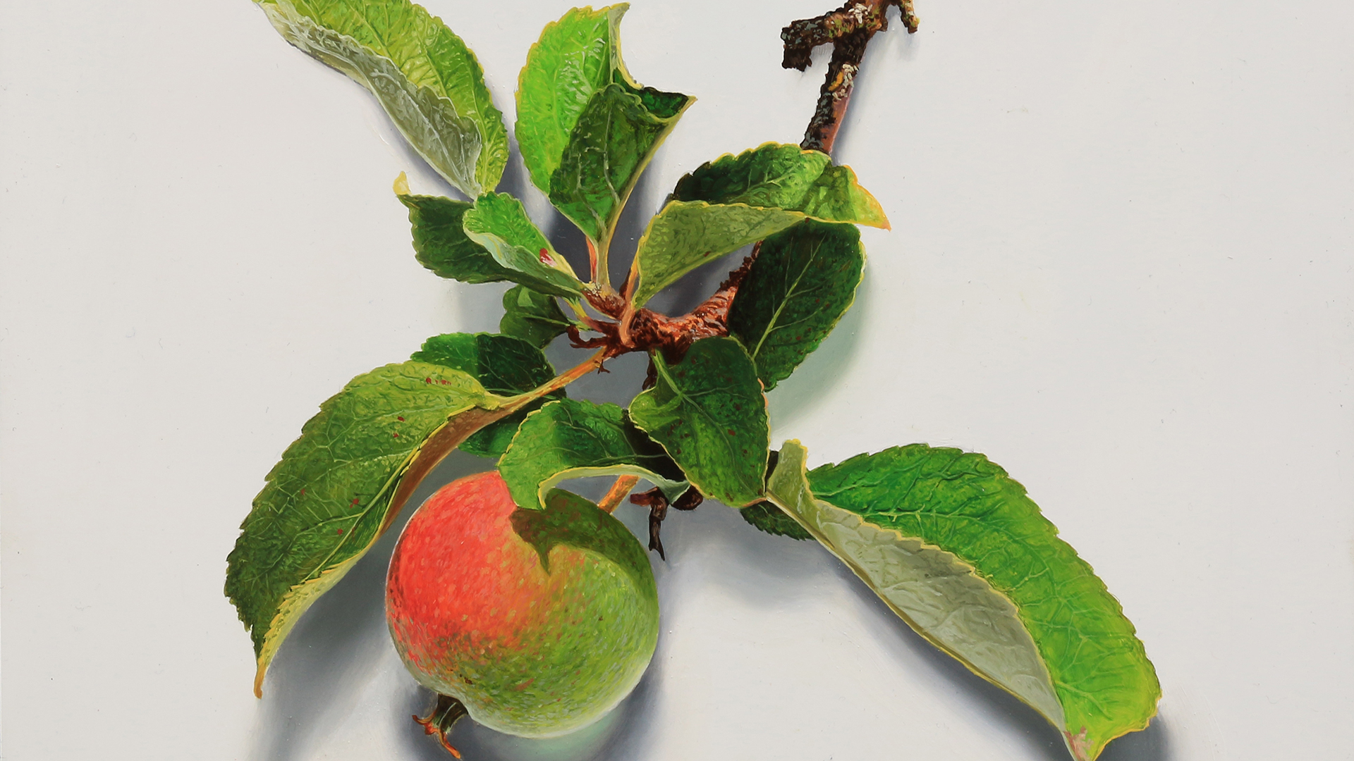 How To Paint An Apple - Advanced Level 2