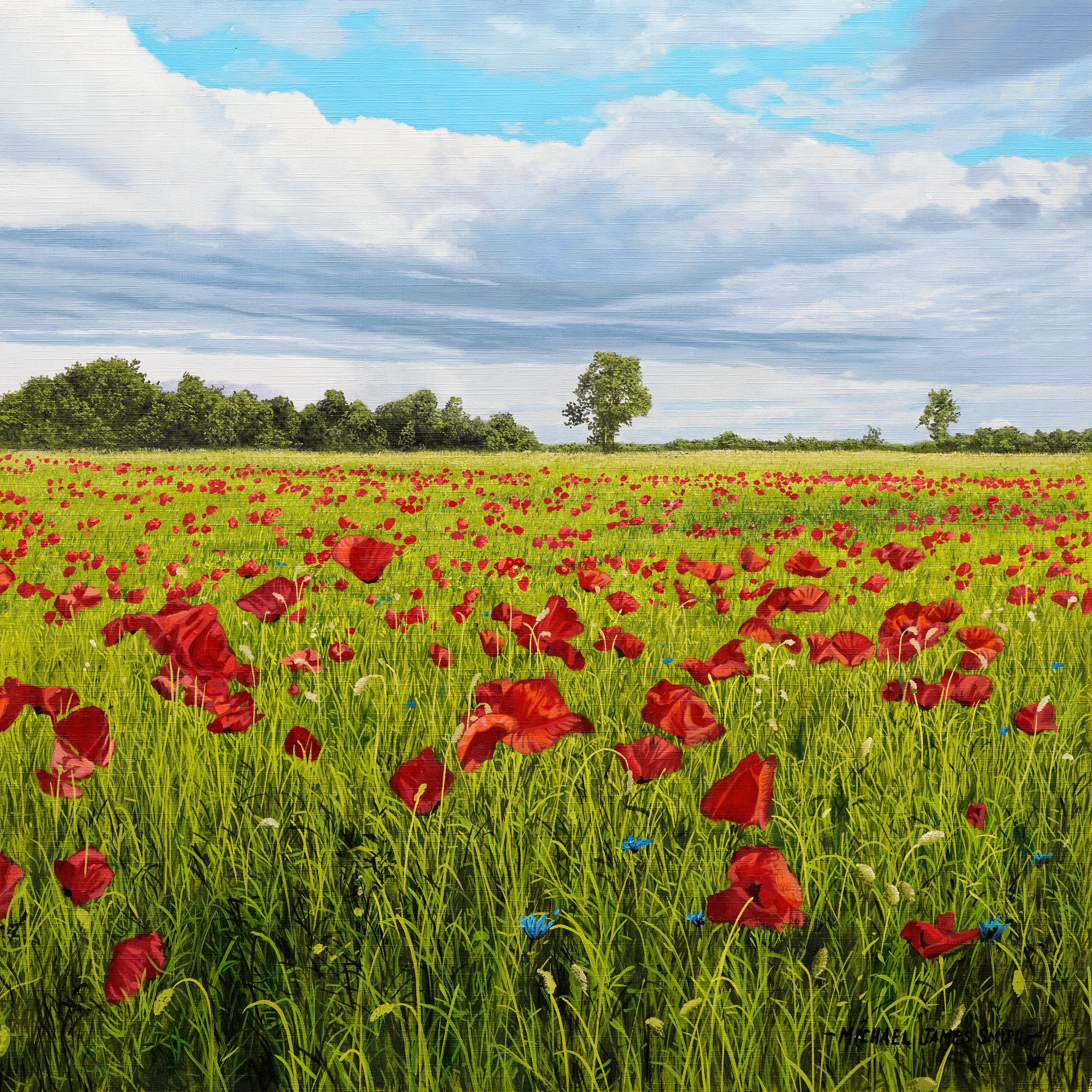Poppies - Intermediate Level 2