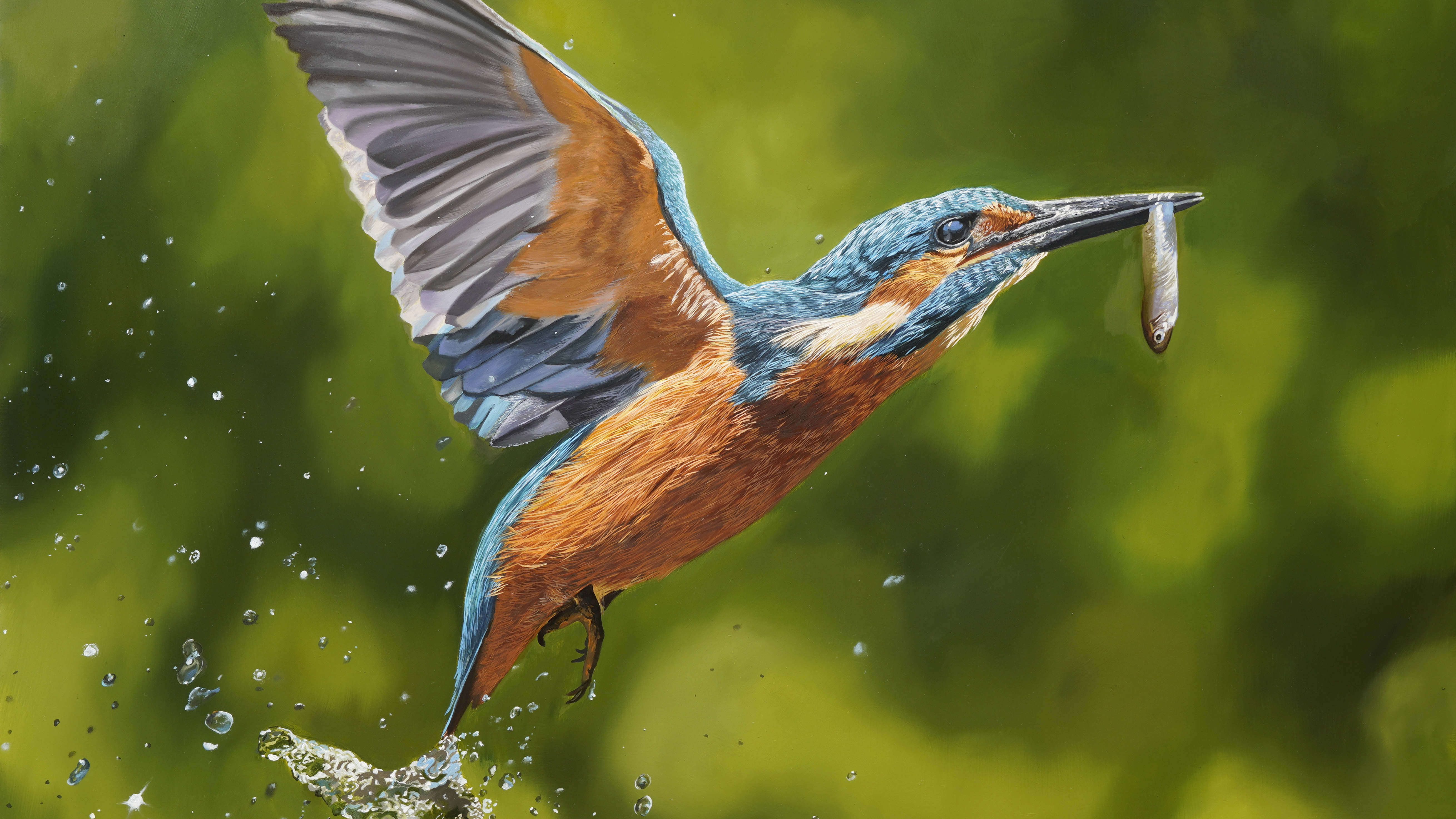 The Kingfisher - Advanced Level 3