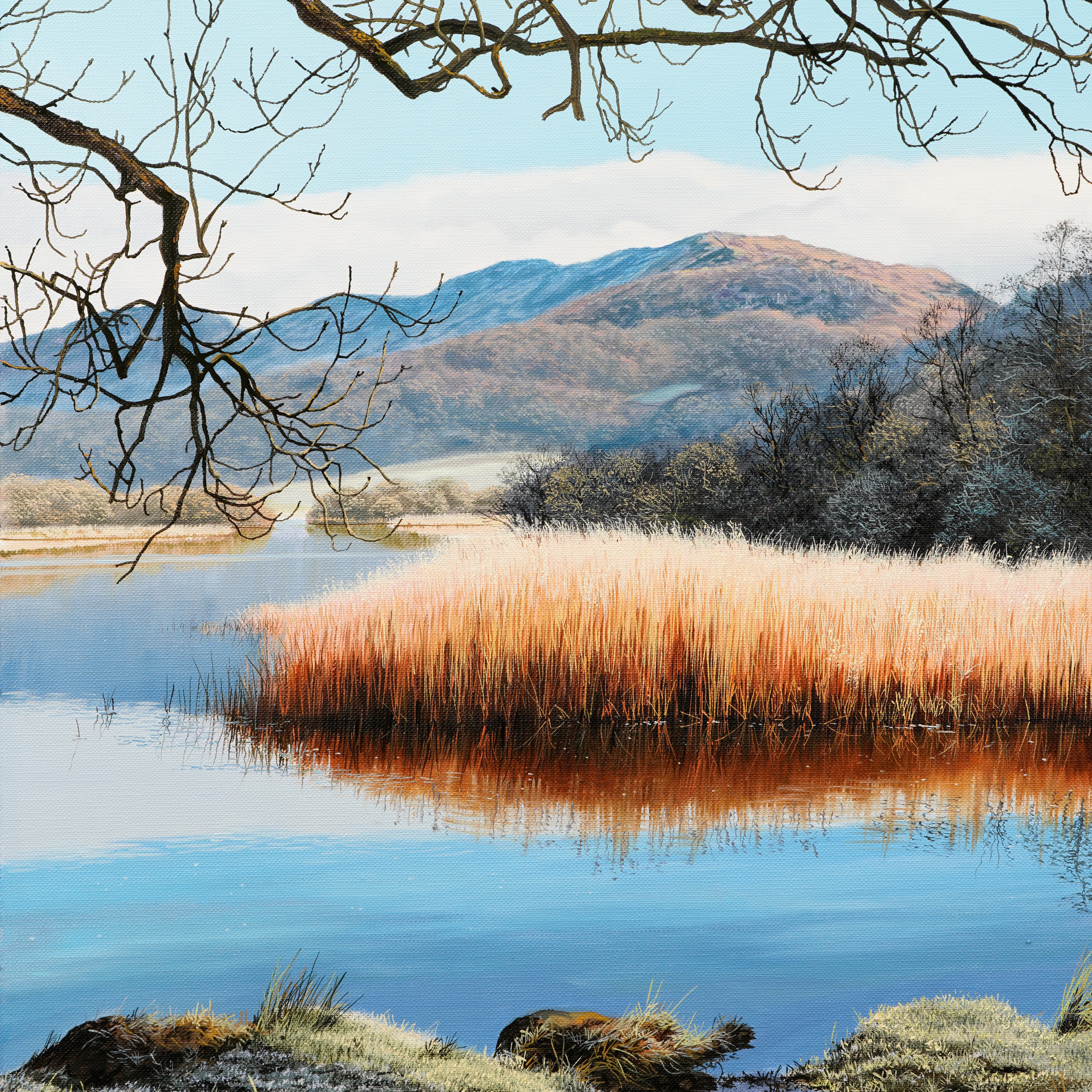 Winter Lake - Advanced Level 2