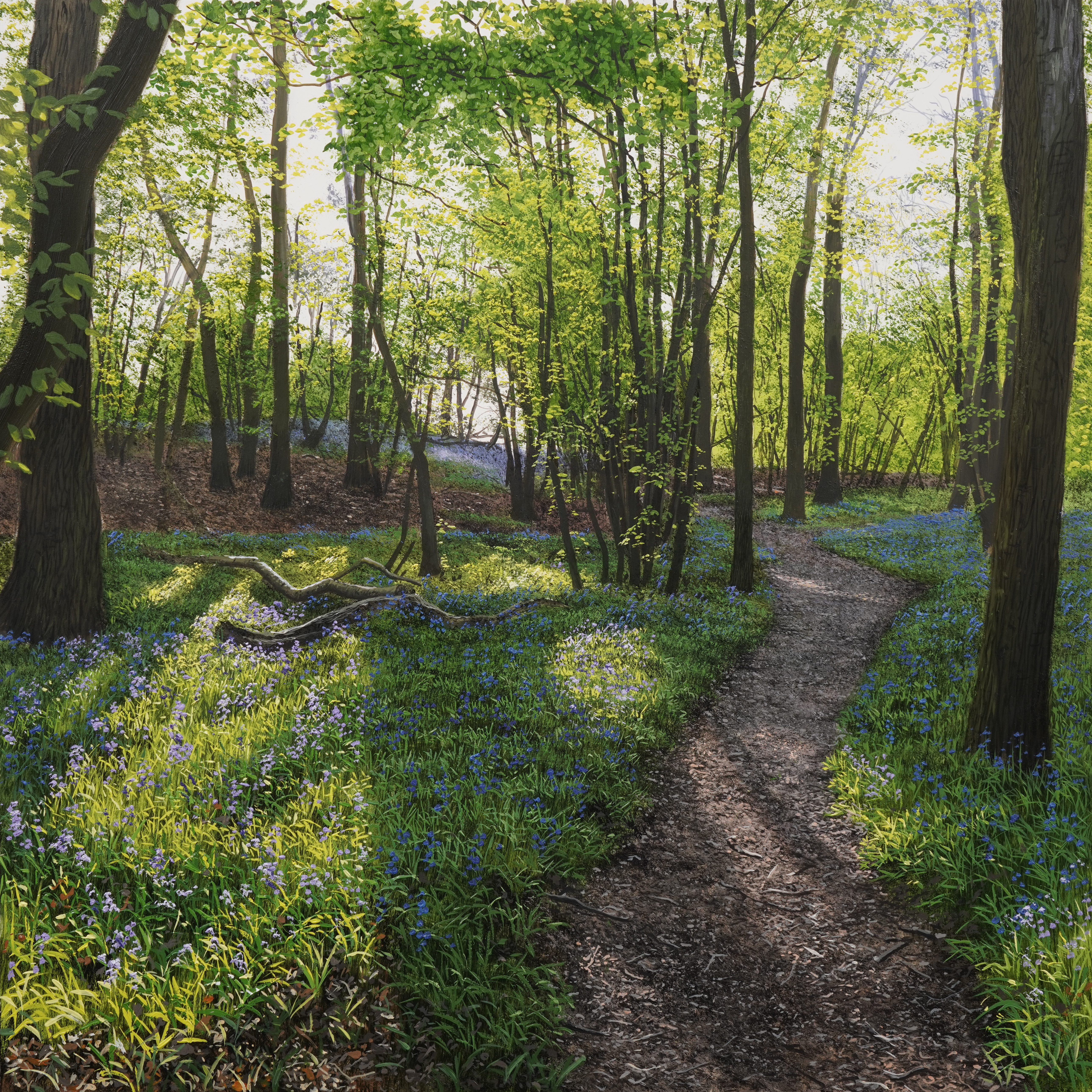 Blakes Wood - Advanced Level 3