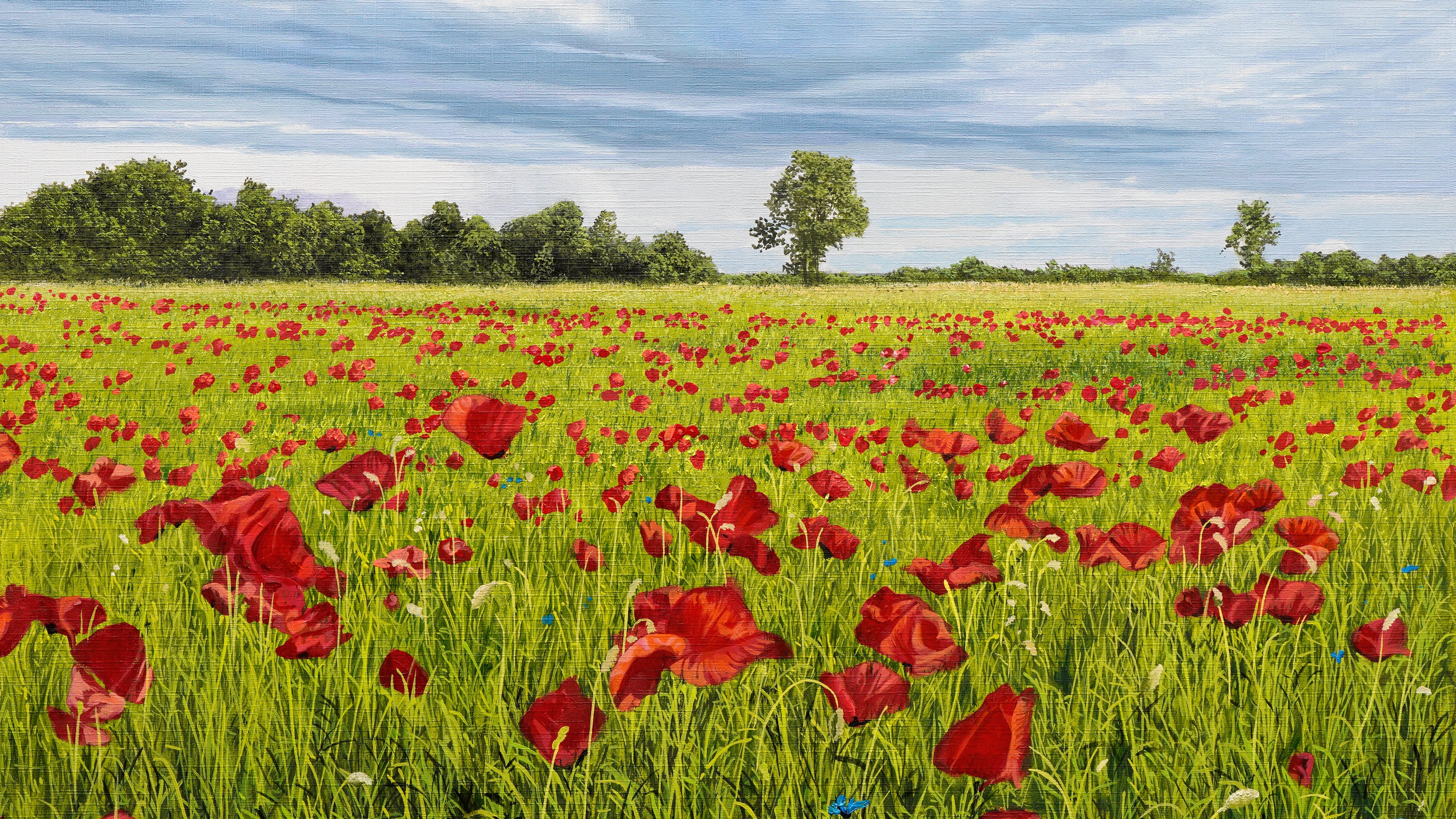 Poppies - Intermediate Level 2