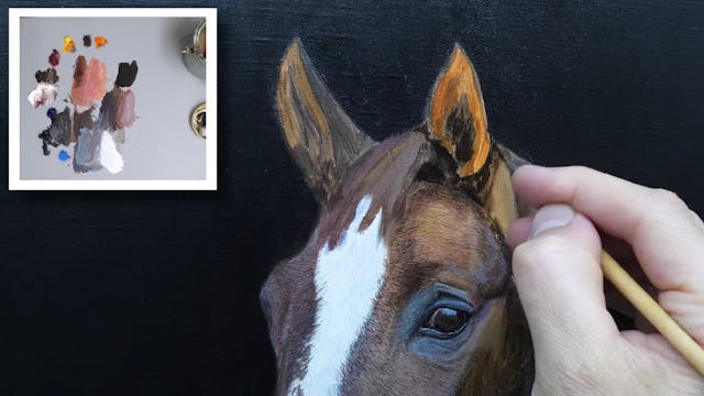 How To Paint A Horse Part 4 How To Paint A Horse Michael James