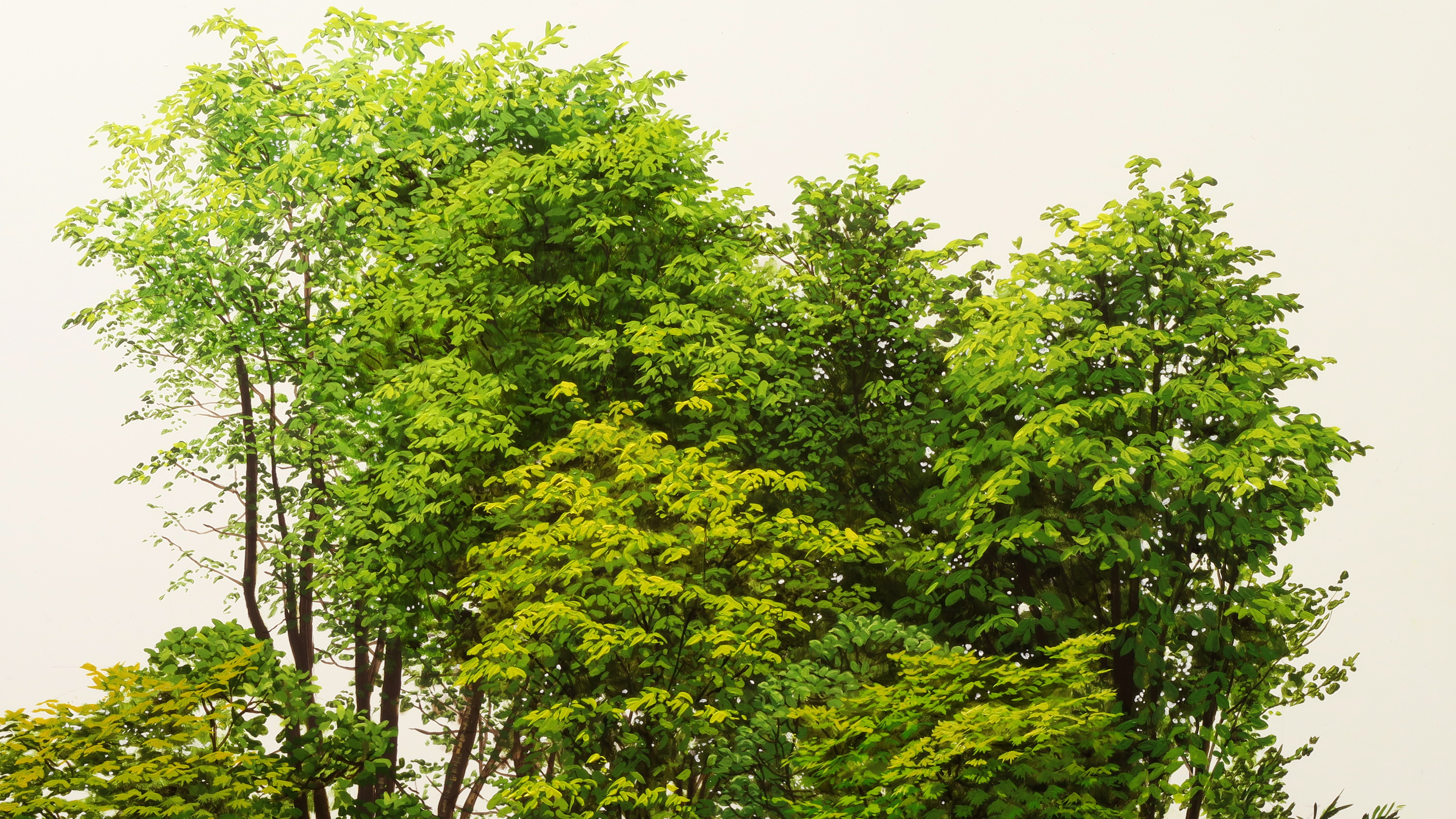 Tree Study - Advanced Level 1