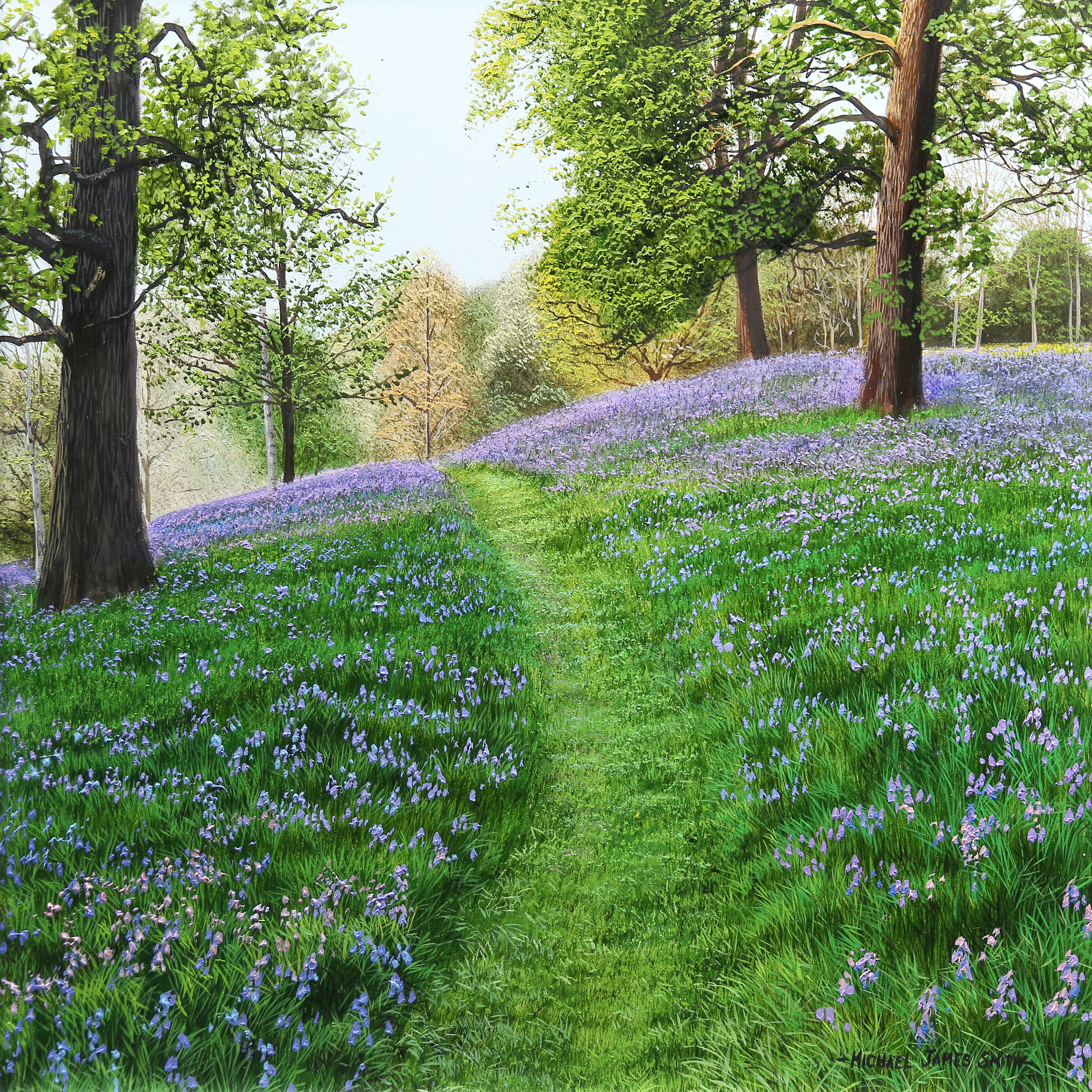 Bluebell Hill - Intermediate Level 1