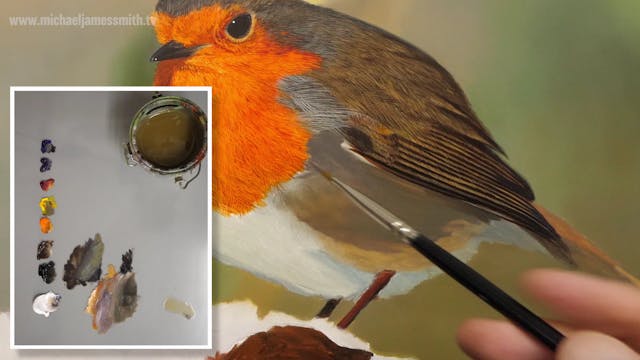 How To Paint a Robin Part 6