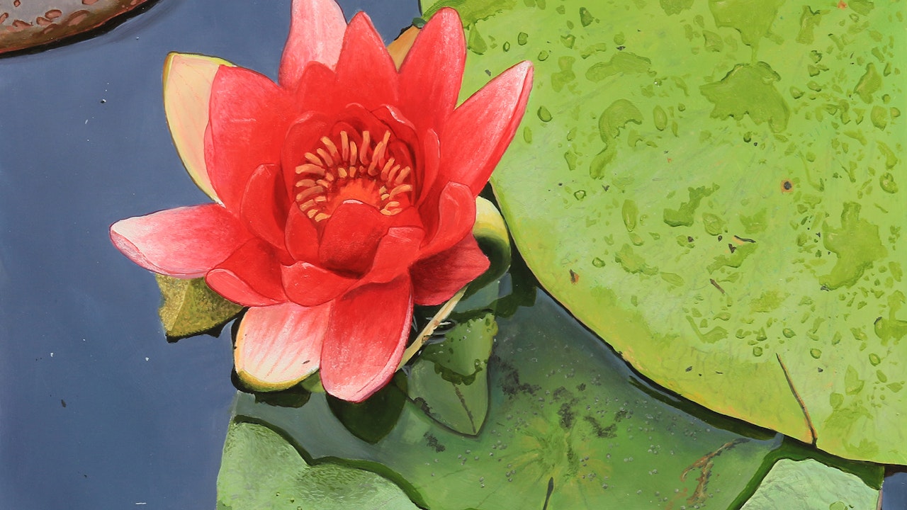 How To Paint a Lily Flower