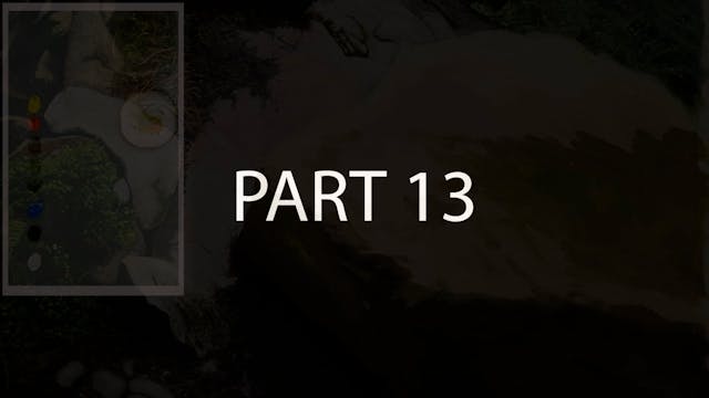 PART 13
