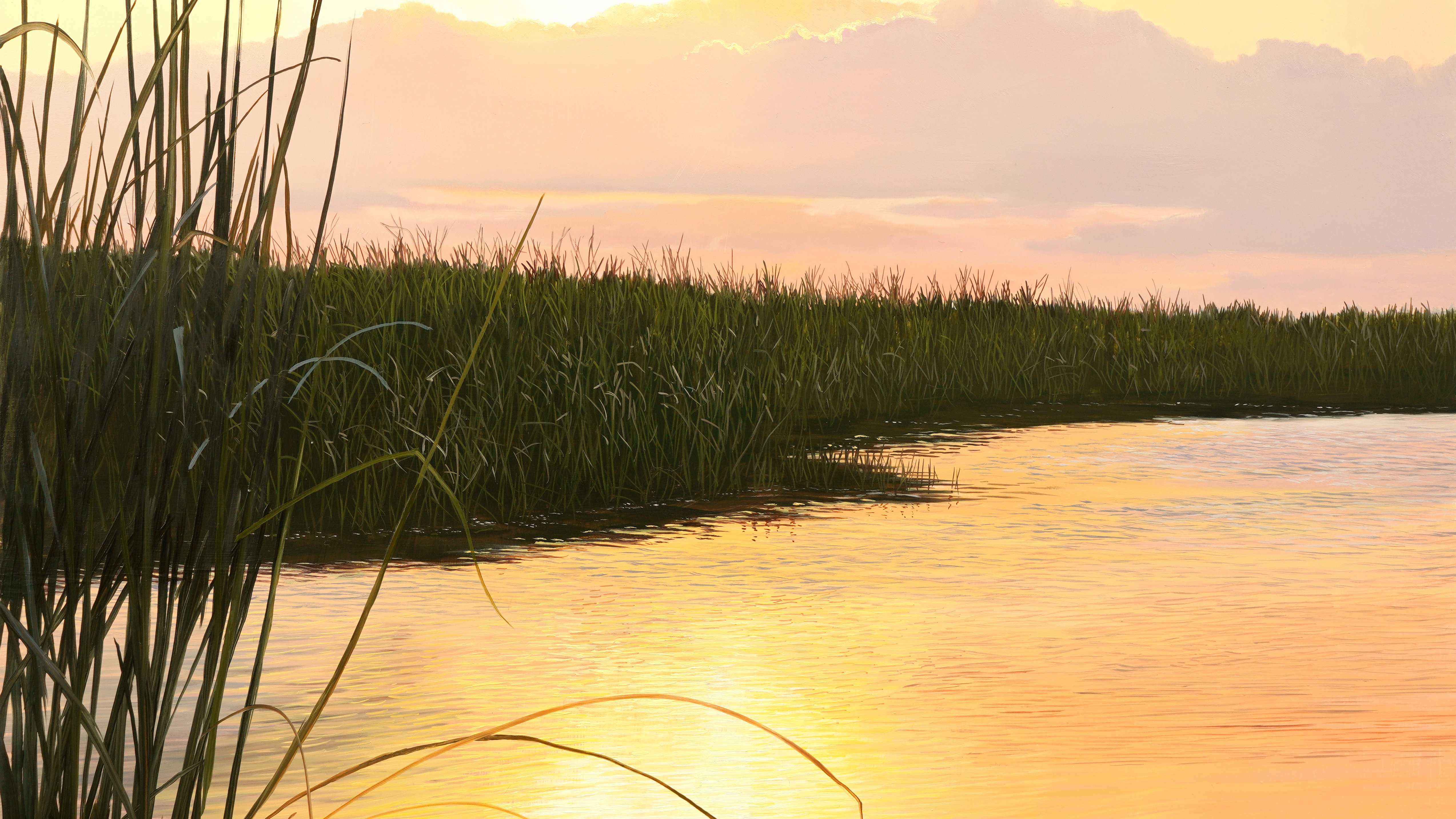 Everglade Sunset - Intermediate Level 2