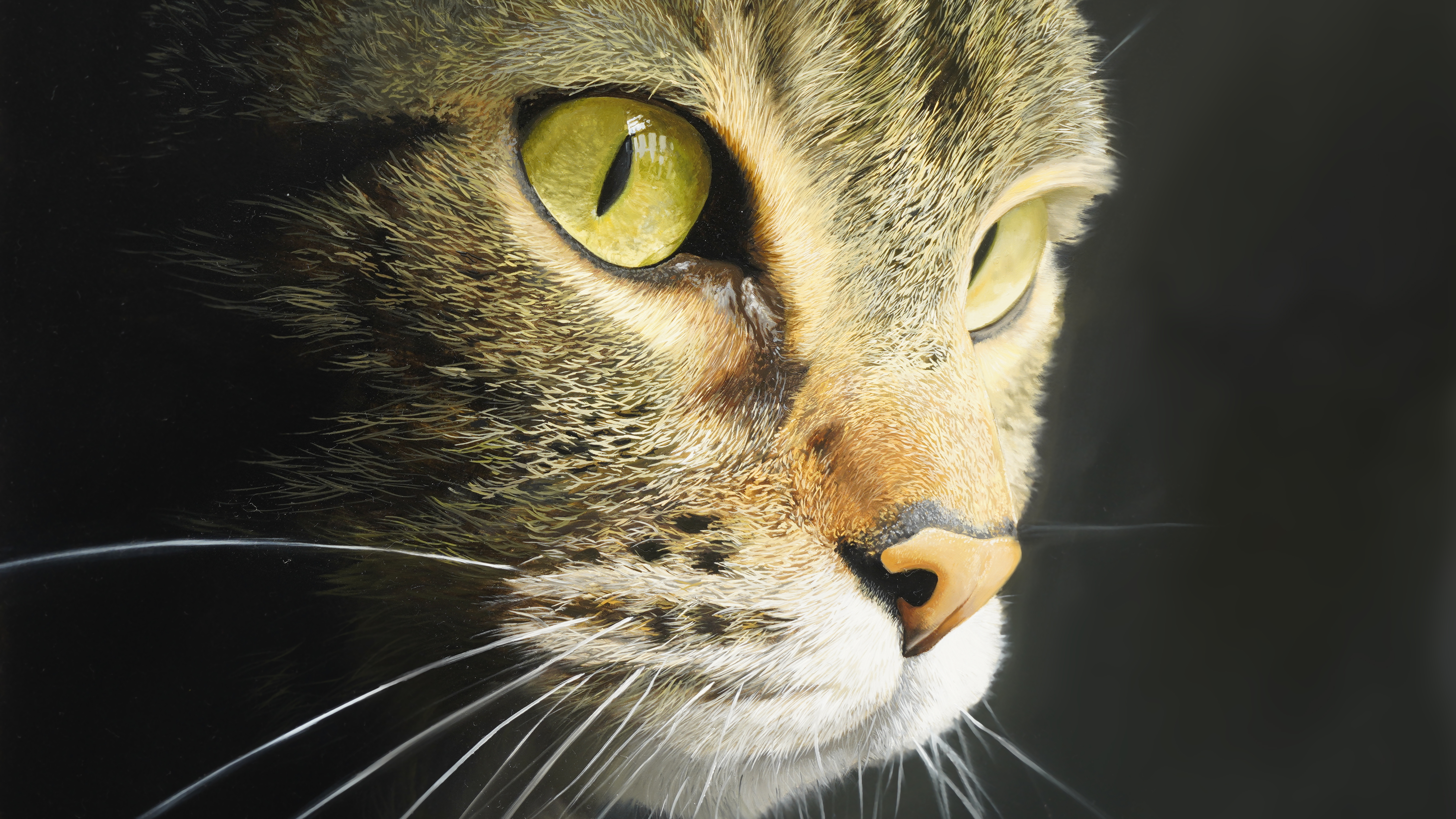 Tabby Cat - Advanced Level 3